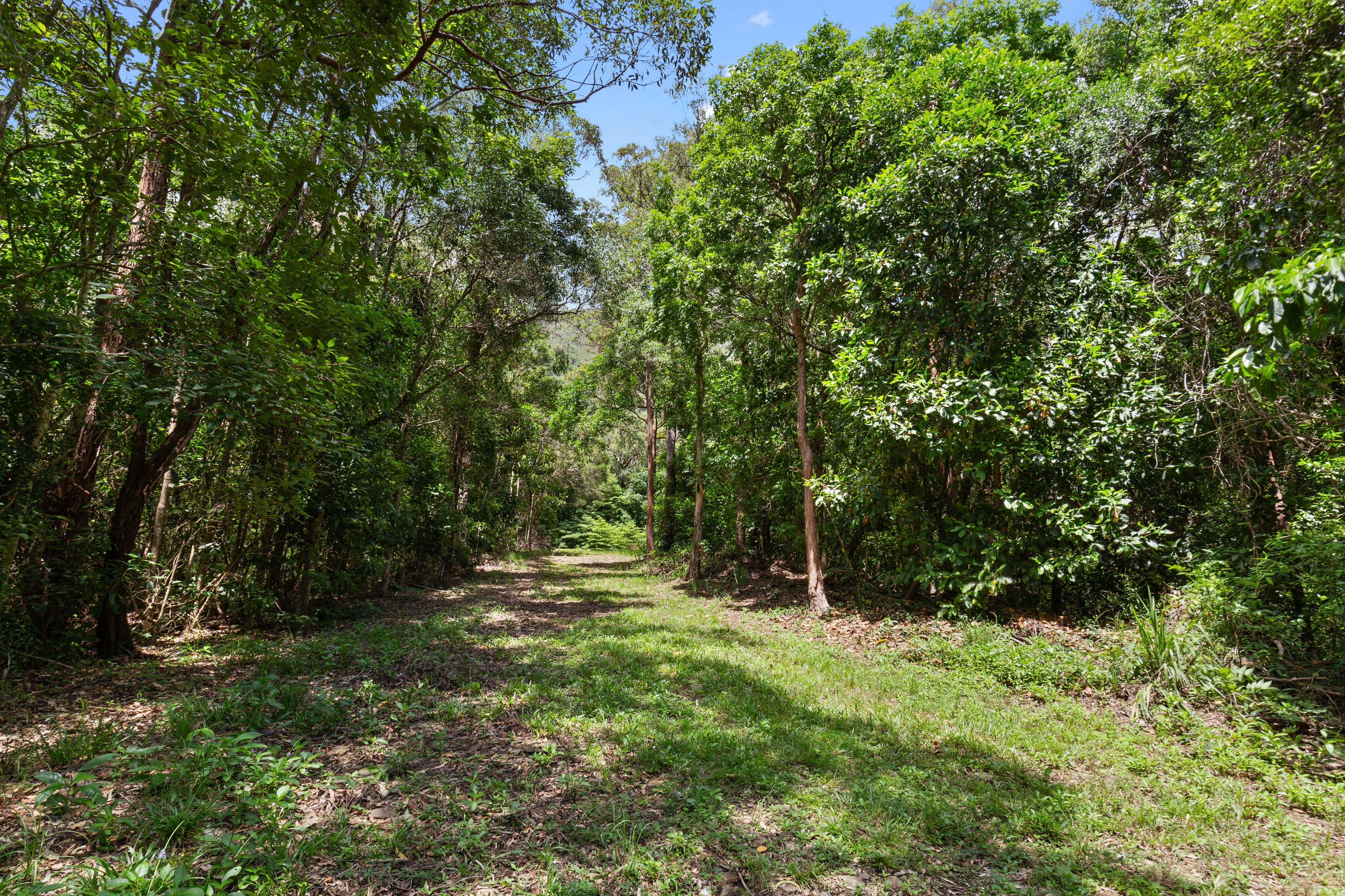 7 Milton Terrace, Oak Beach QLD 4877, Oak Beach - Thumbnail 8
