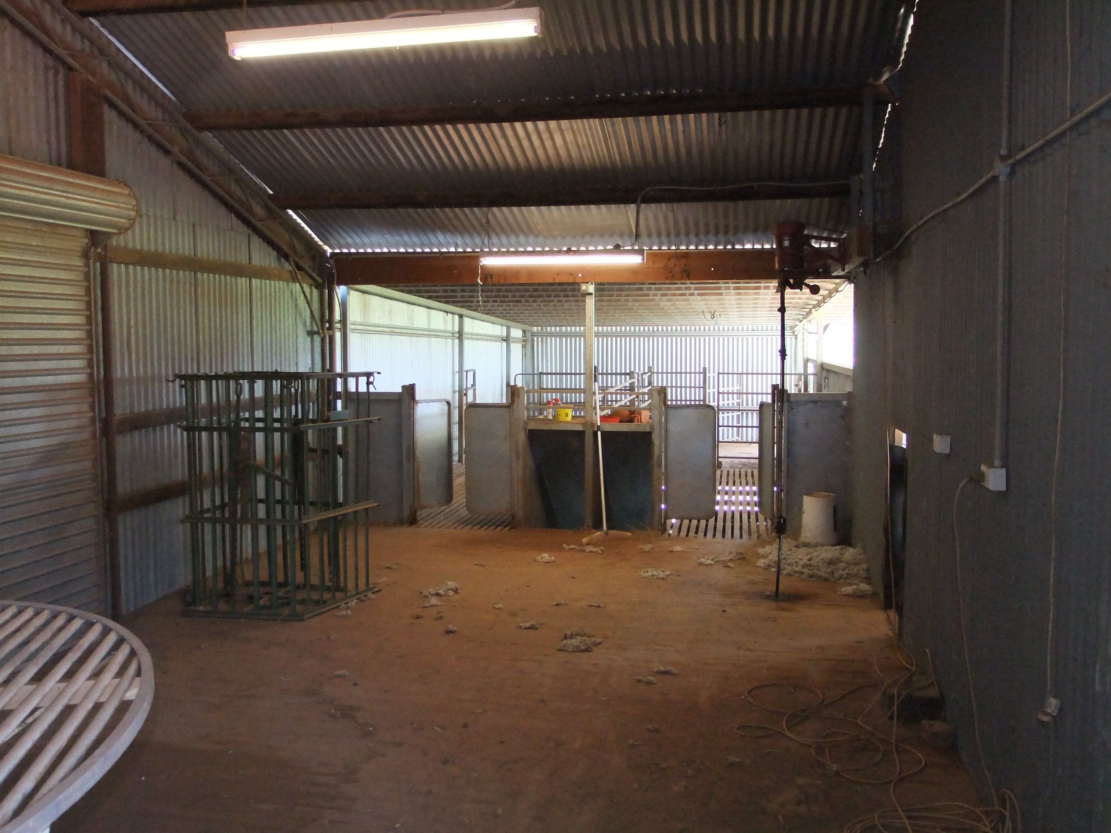 1592 Casuarina Drive, Gooloogong NSW 2805, Gooloogong - Thumbnail 8