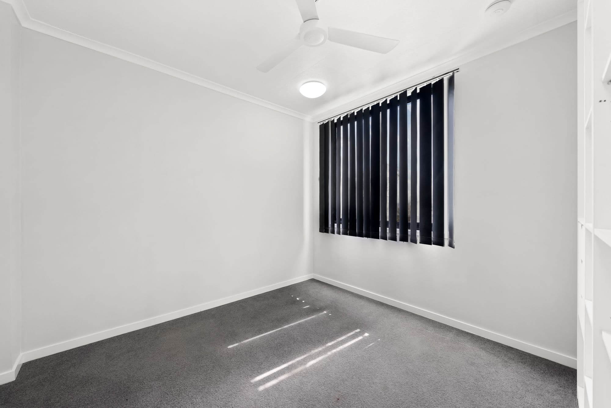 29 Raffles Street, Mount Gravatt East QLD 4122, Mount Gravatt East - Thumbnail 5