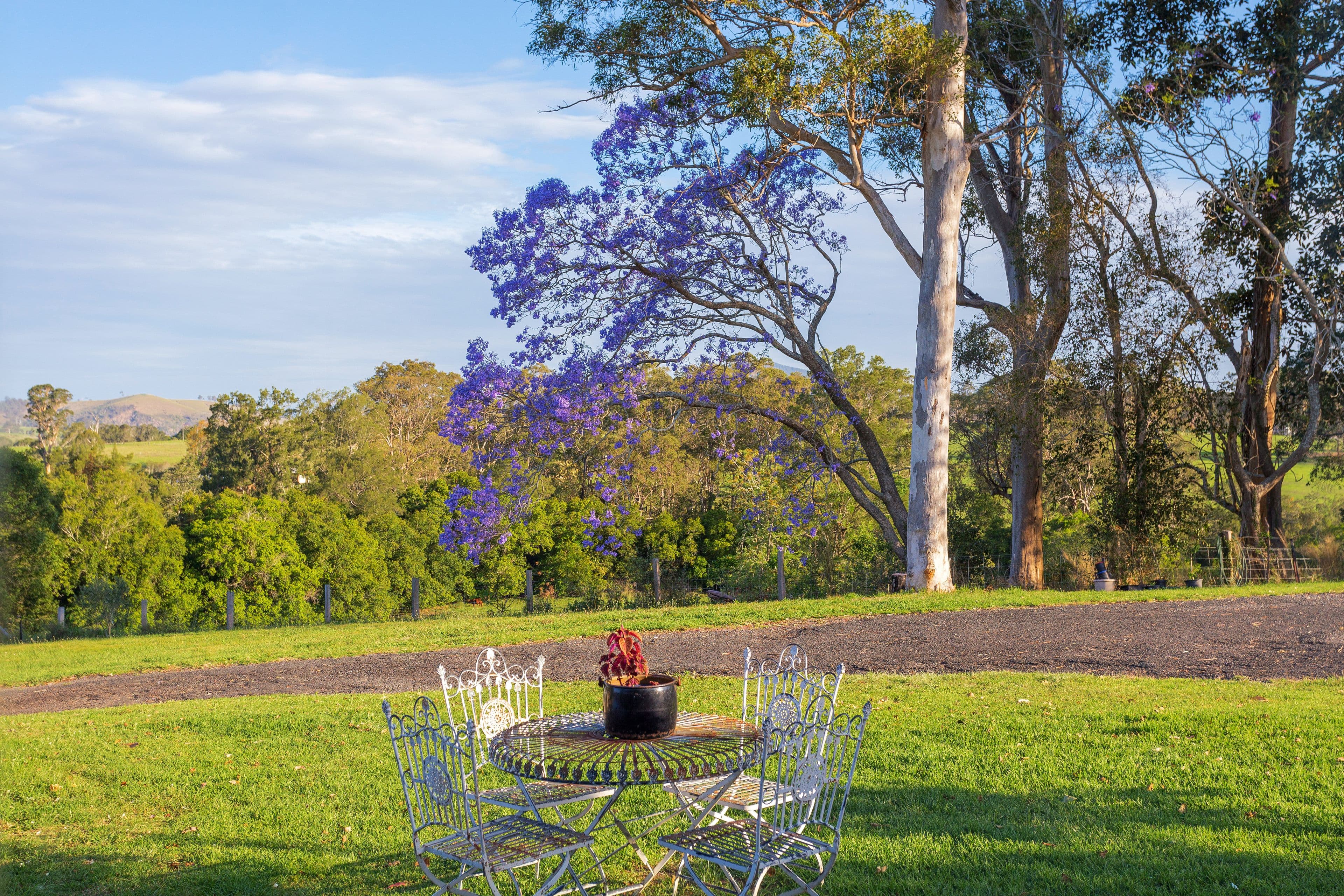 564 Kimbriki Road, Wingham NSW 2429, Wingham - Thumbnail 6