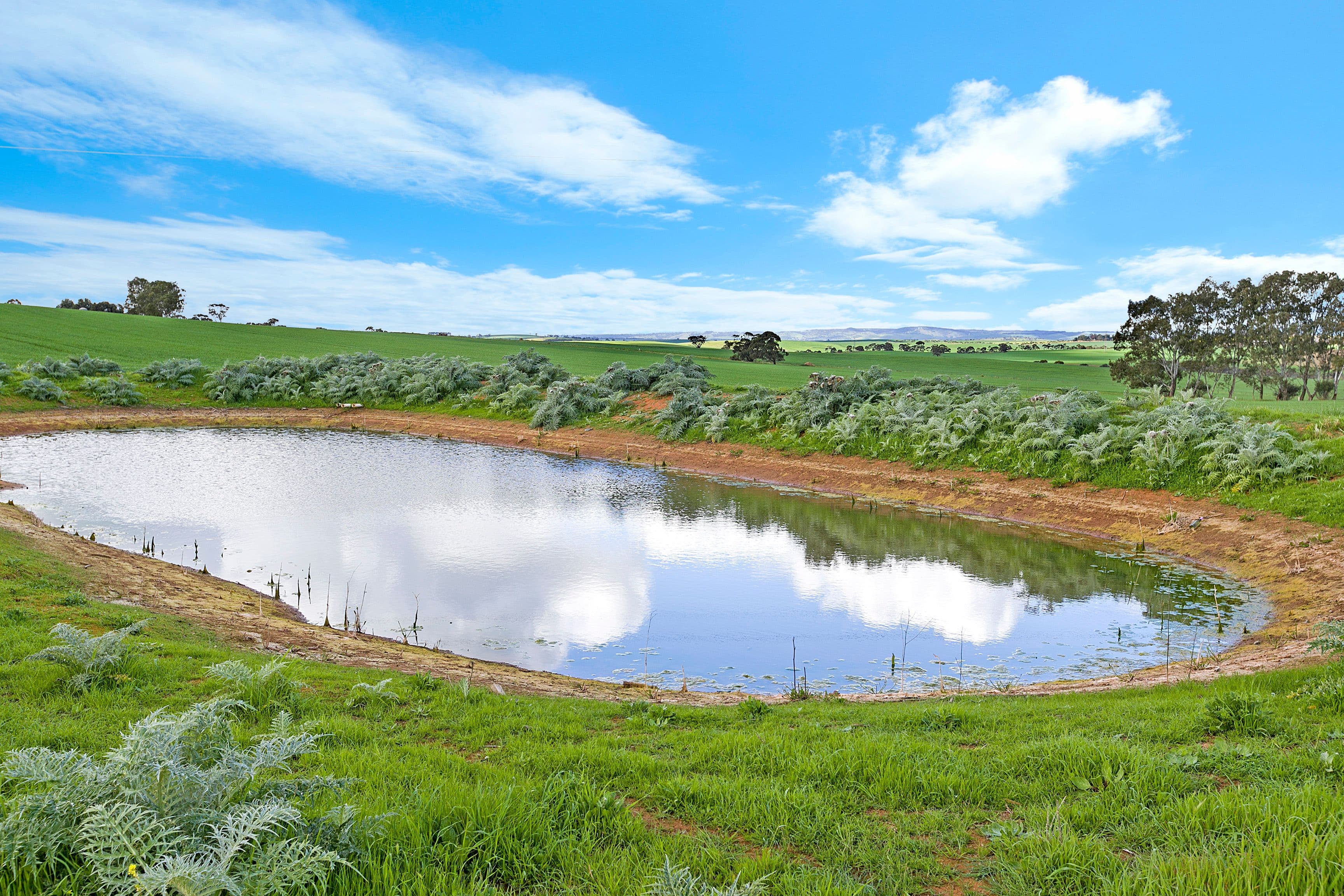 'Kingsford Block' - Lot 508 Sturt Highway, Kingsford SA 5118, Kingsford - Thumbnail 3