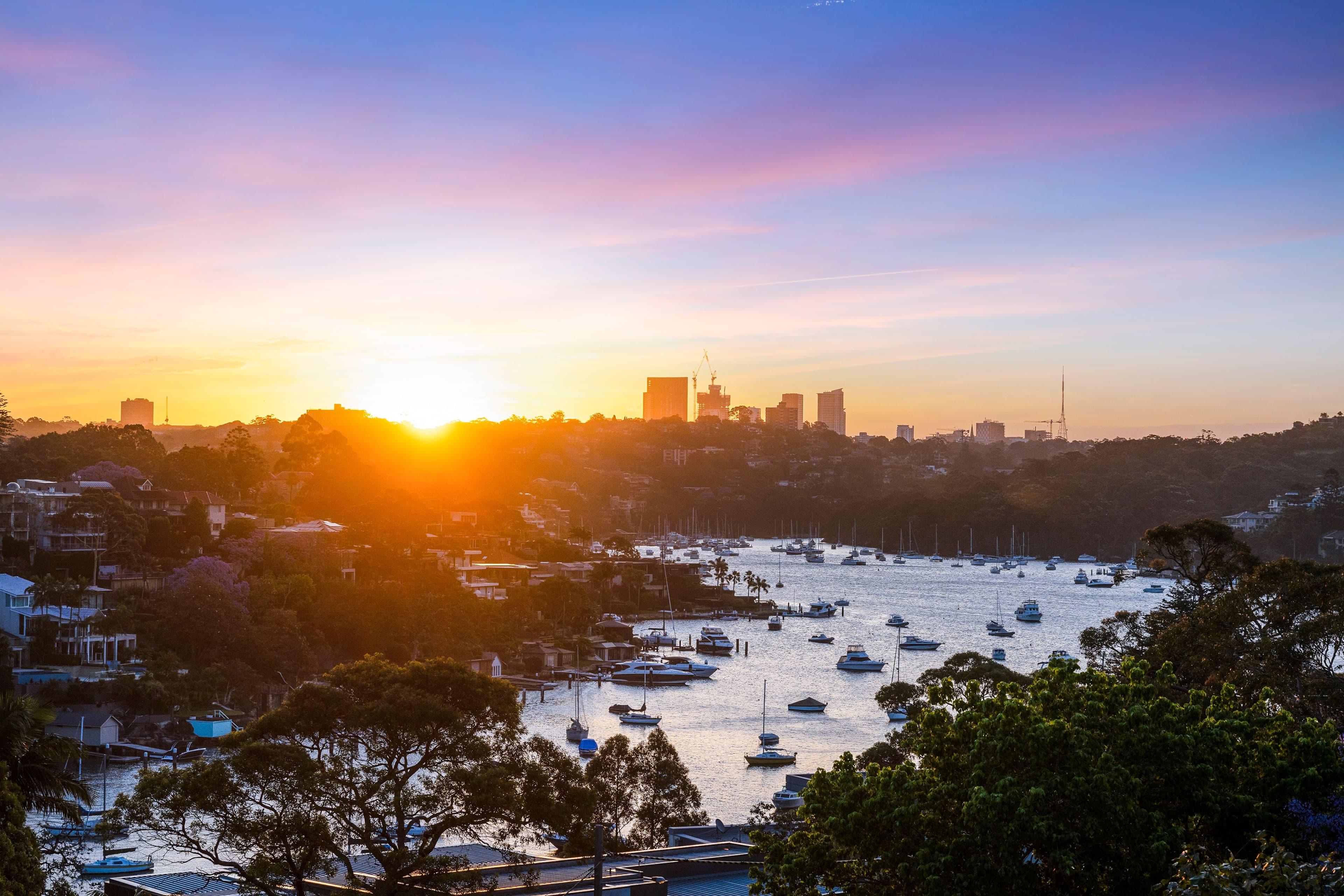8 Koowong Avenue, Mosman NSW 2088, Mosman - Thumbnail 4