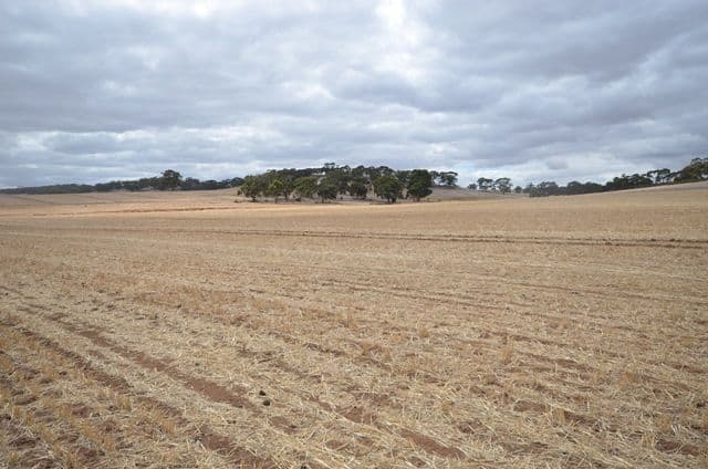 "NJ's" Tarnma Road, MARRABEL SA 5413, Marrabel - Thumbnail 3