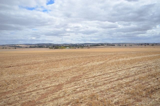 "NJ's" Tarnma Road, MARRABEL SA 5413, Marrabel - Thumbnail 4