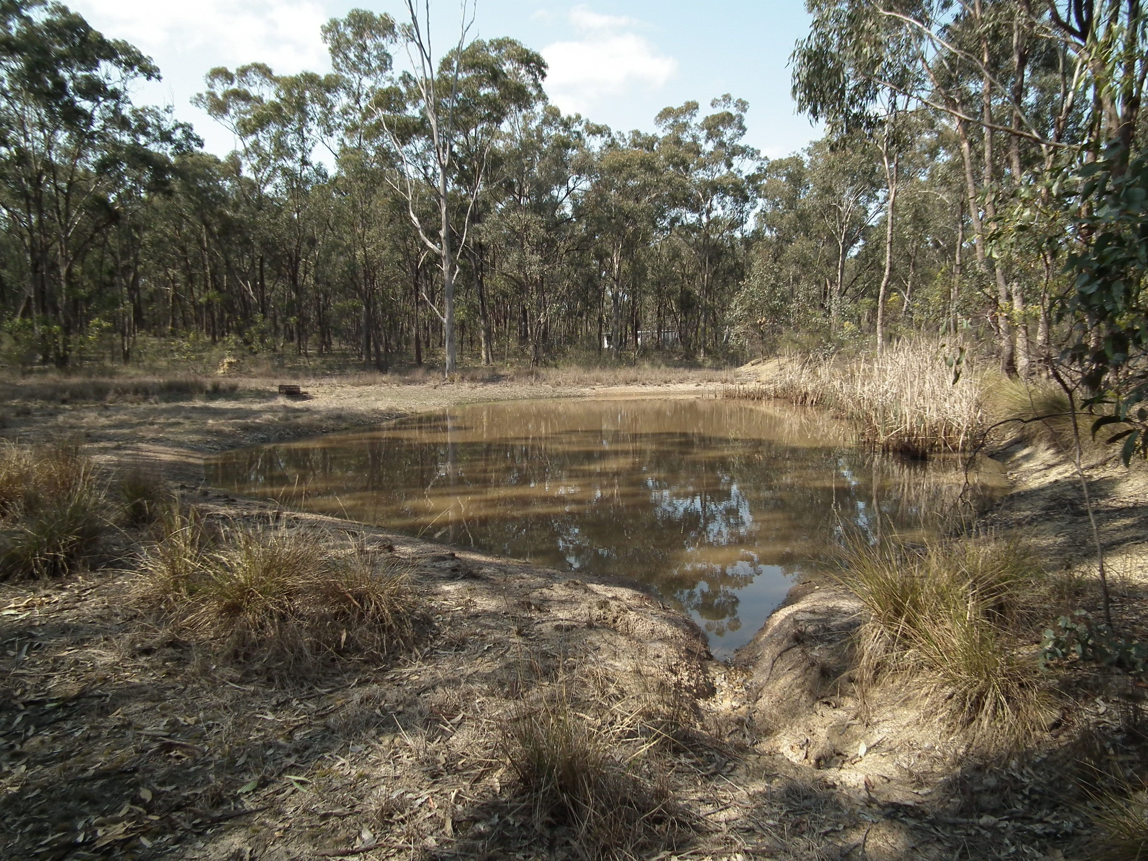 Lot 1 Spring Lane, Bailieston VIC 3608, Bailieston - Thumbnail 4