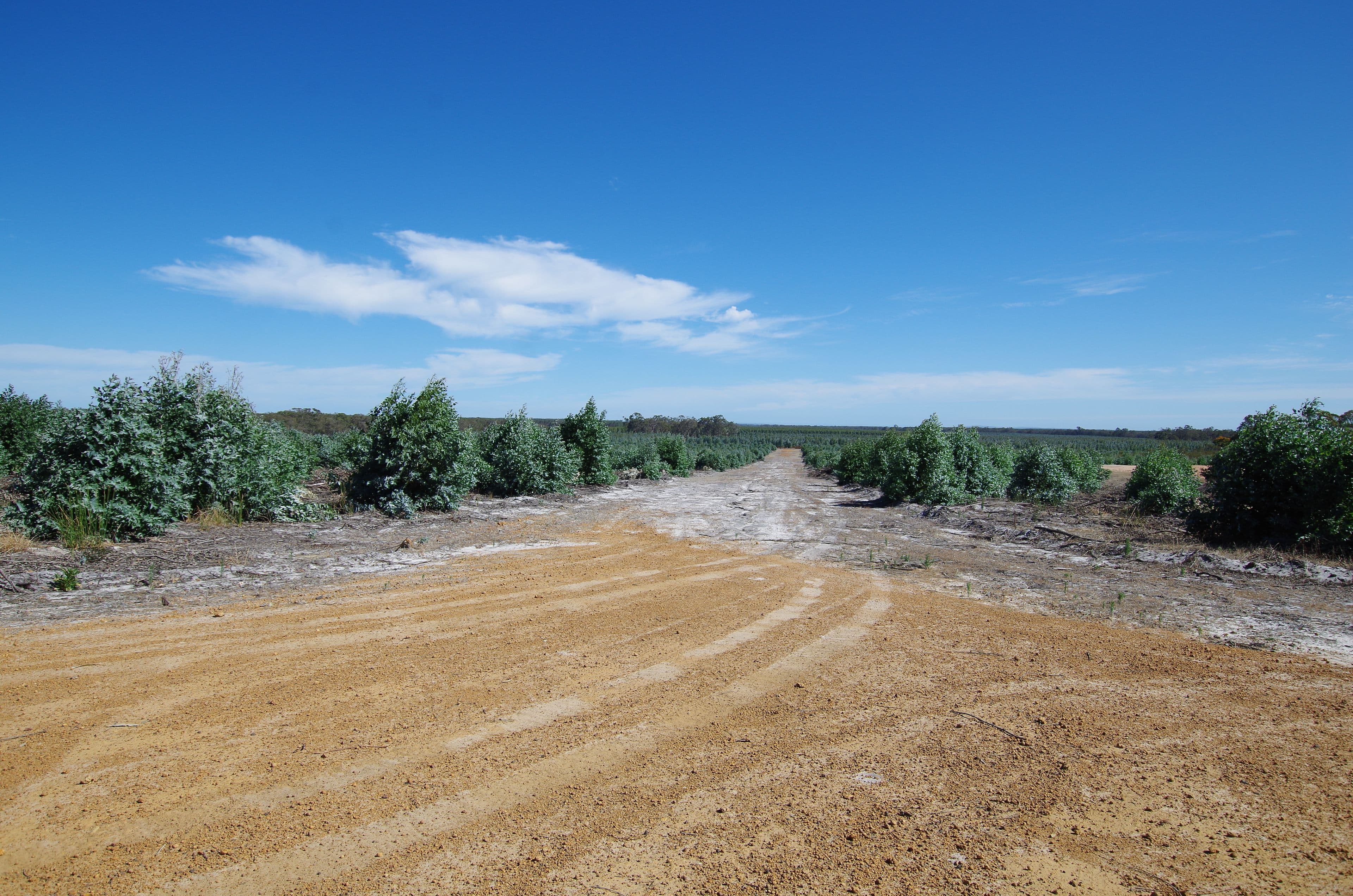722 Watermans Road, Narrikup WA 6326, Narrikup - Thumbnail 4