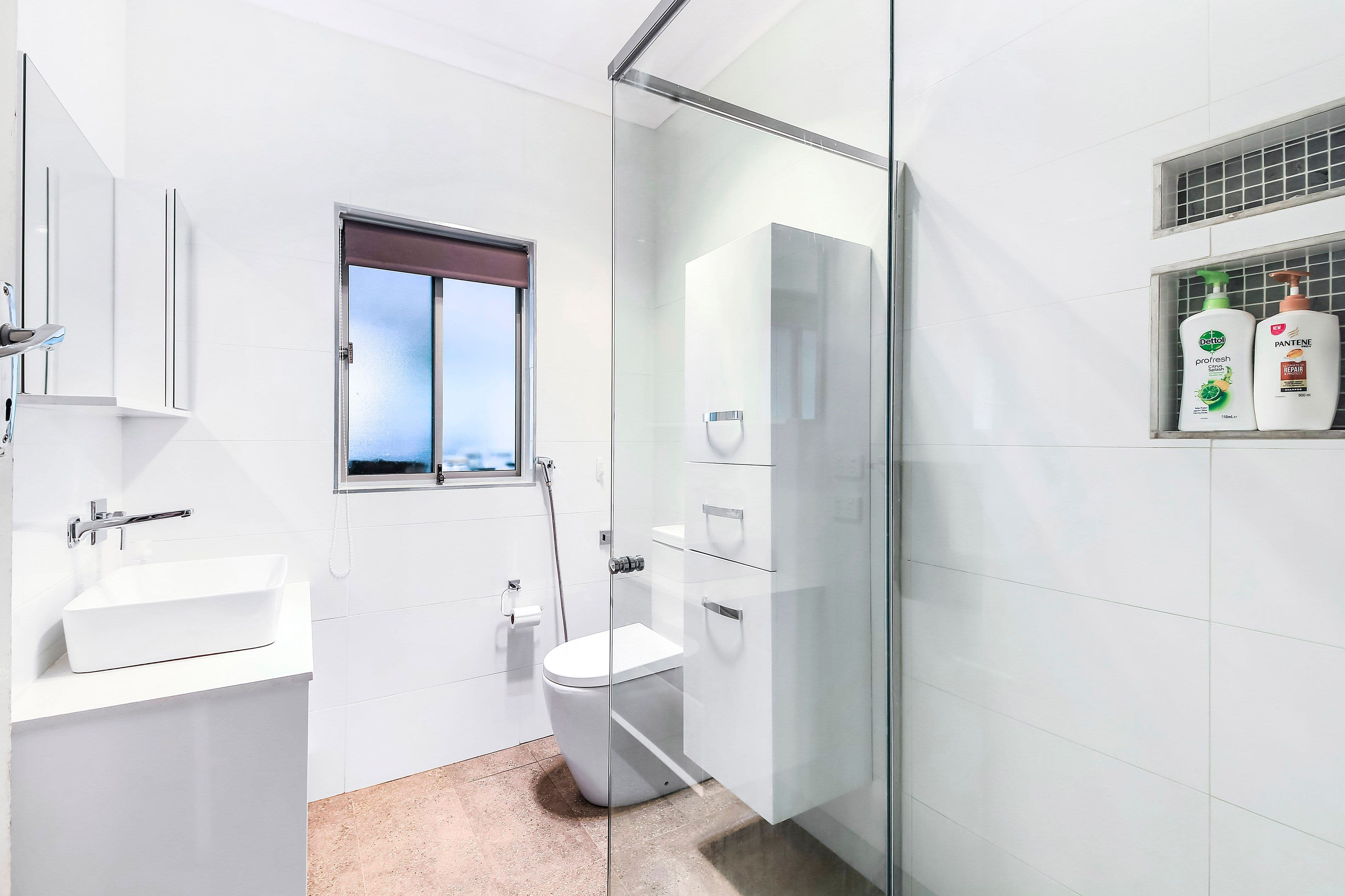 62 Woodland Road, Chester Hill NSW 2162, Chester Hill - Thumbnail 6