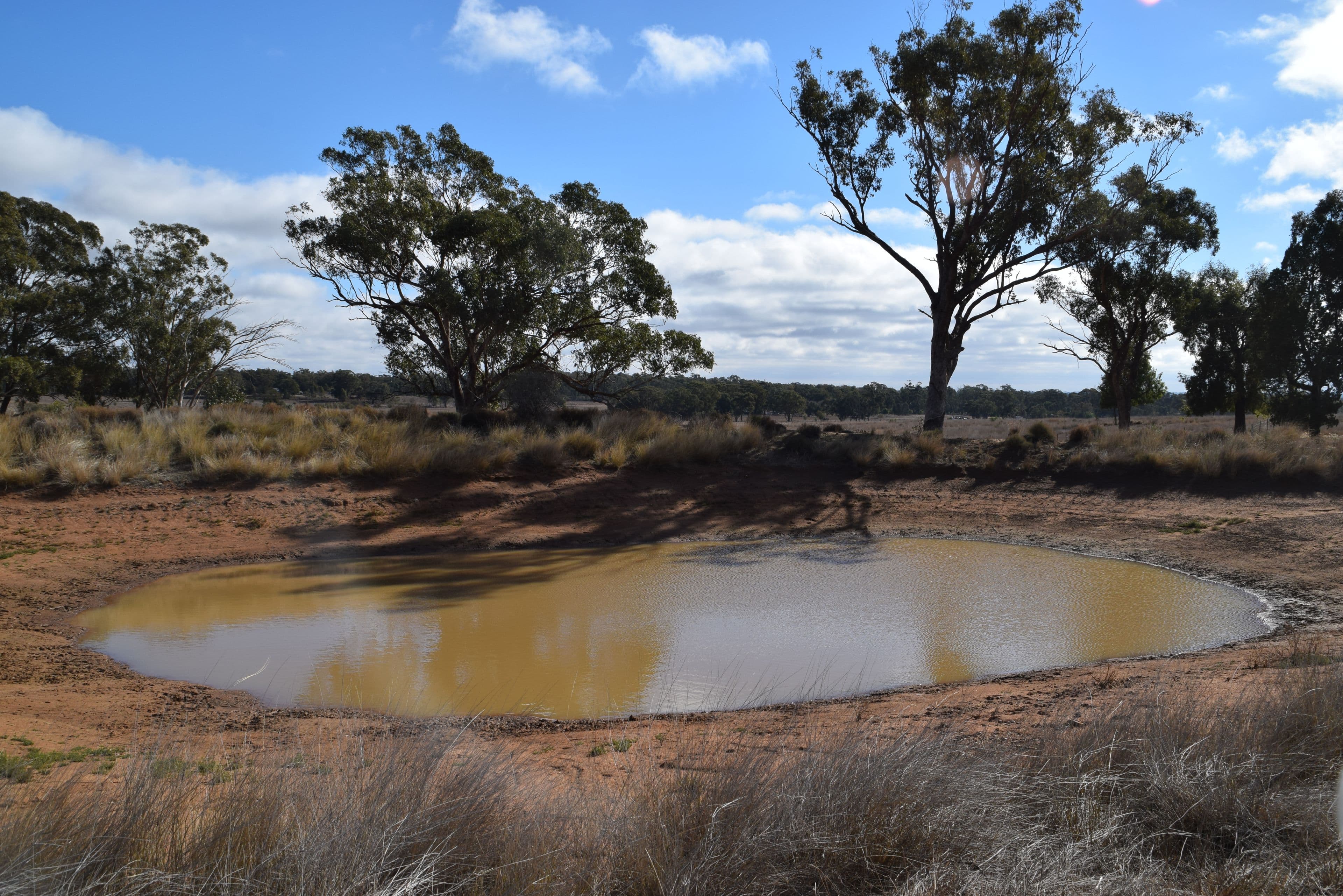 10R Buddens Road, Dubbo NSW 2830, Dubbo - Thumbnail 6