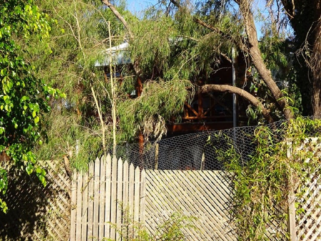 338 Station Street, Carlton North VIC 3054, Carlton North - Thumbnail 8