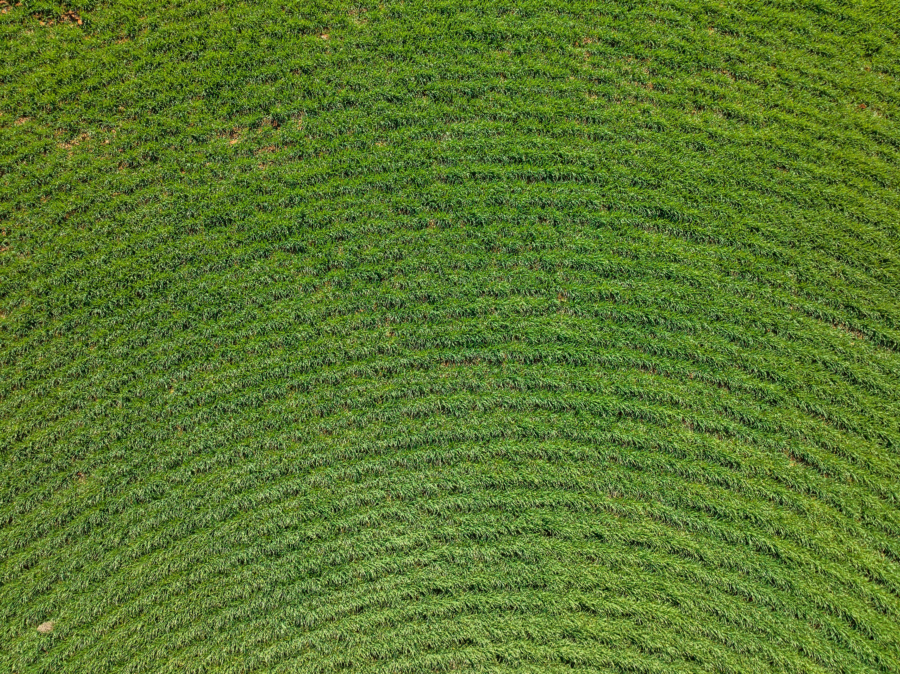 'Allanbie' Pipeline Road, Nantawarra SA 5550, Nantawarra - Thumbnail 5