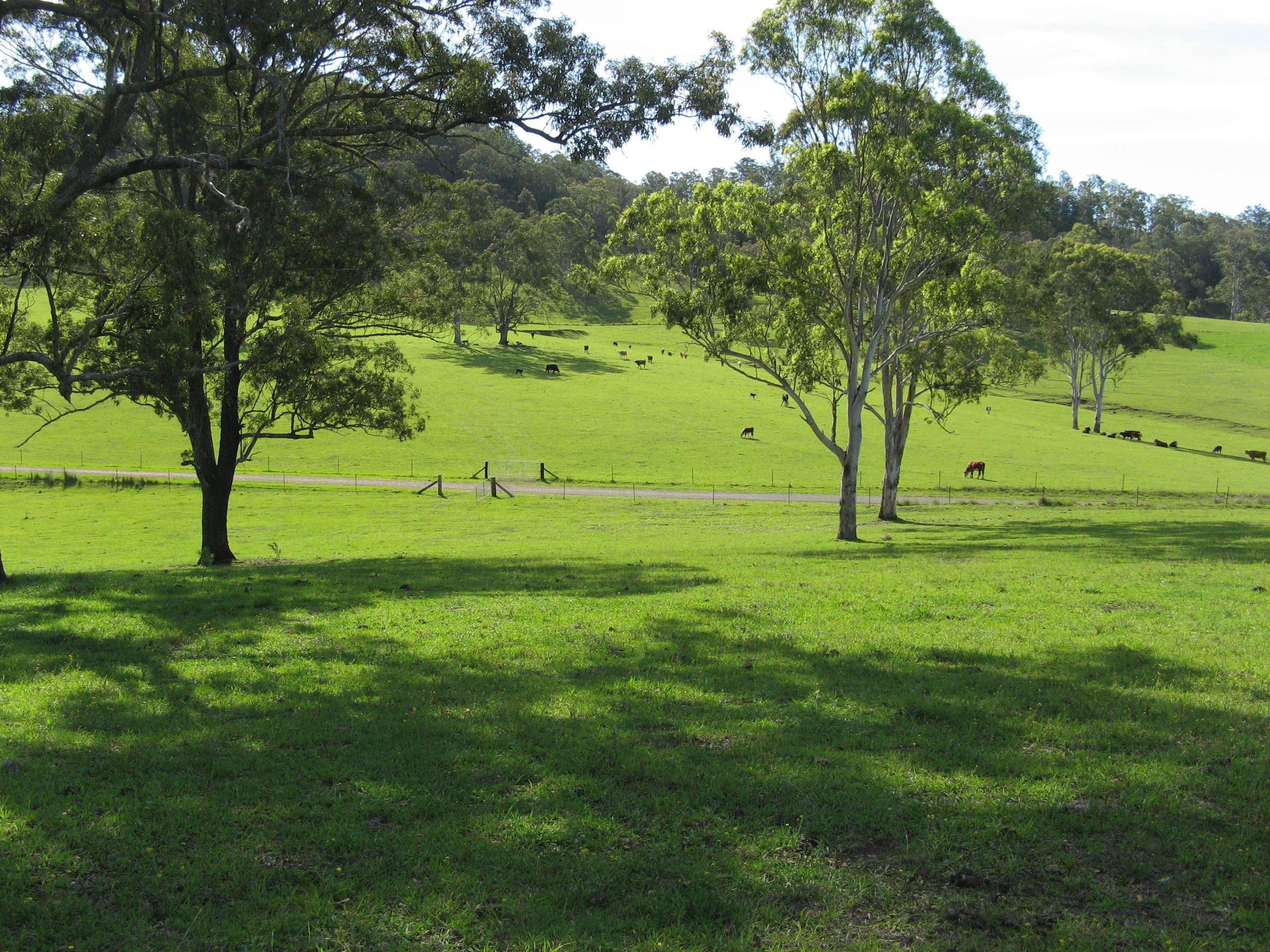 Lots 83 Lochinvar Road, Wherrol Flat NSW 2429, Wherrol Flat - Thumbnail 8