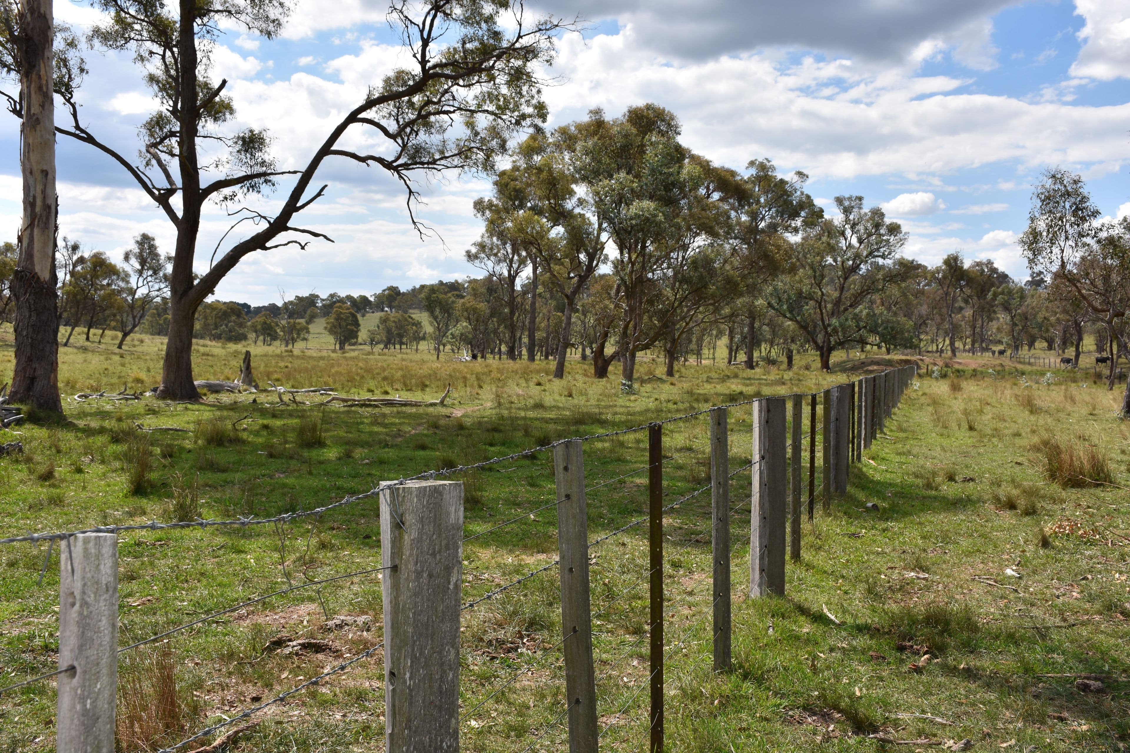 757 New England Highway, Glen Innes NSW 2370, Glen Innes - Thumbnail 4