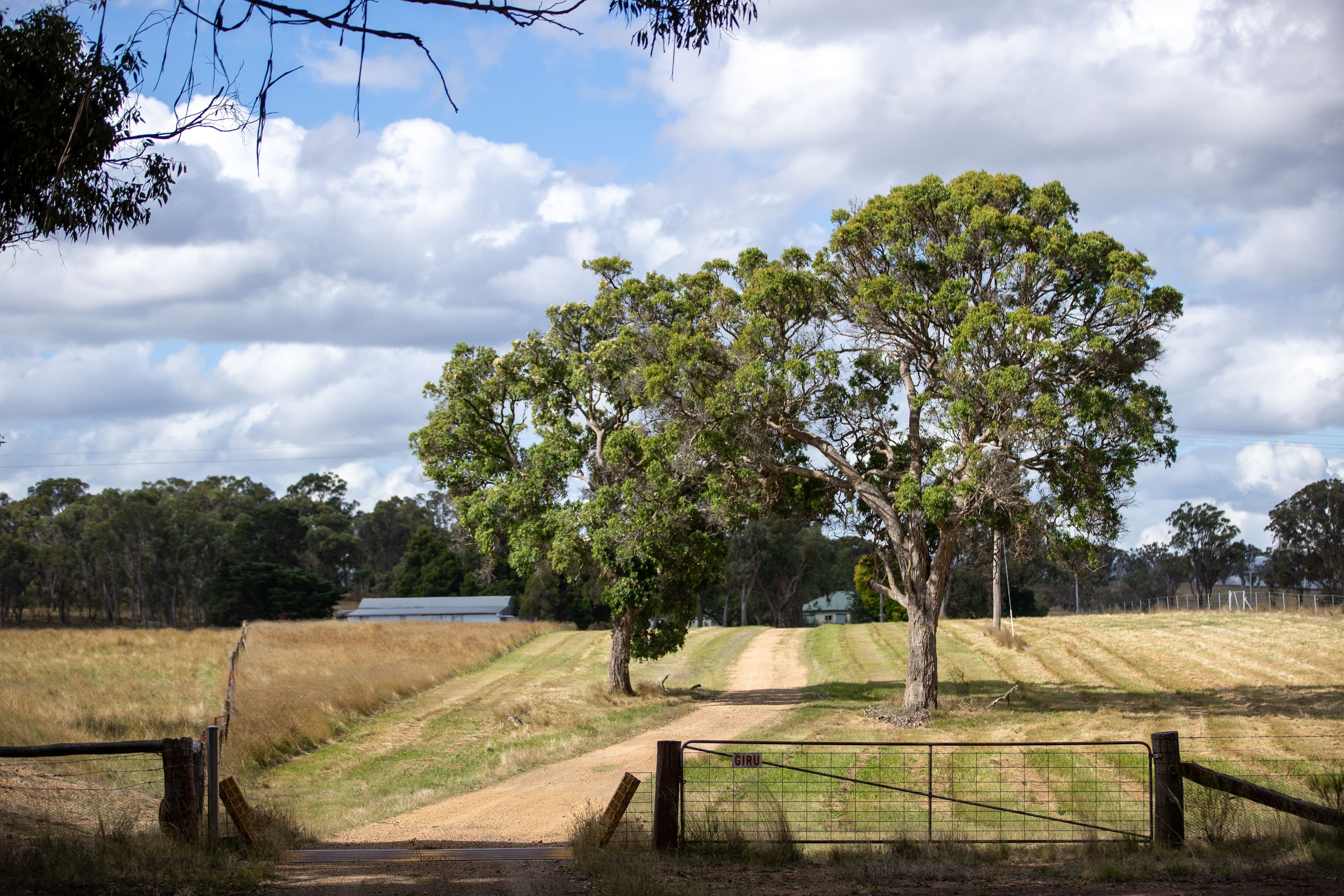 324 Wellingtonvale Road, Deepwater NSW 2371, Deepwater - Thumbnail 6