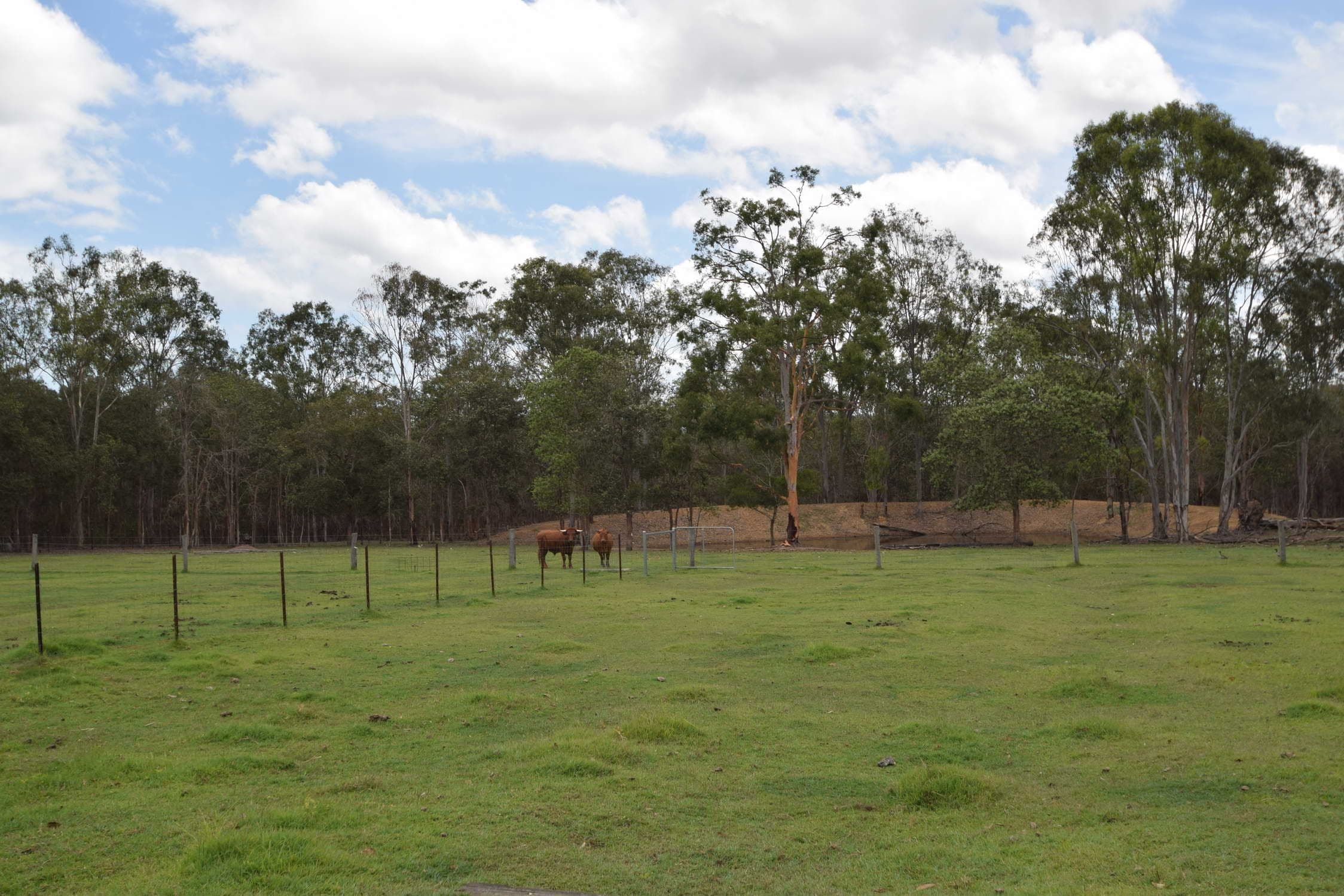 54 Dunlop Road, Esk QLD 4312, Esk - Thumbnail 6