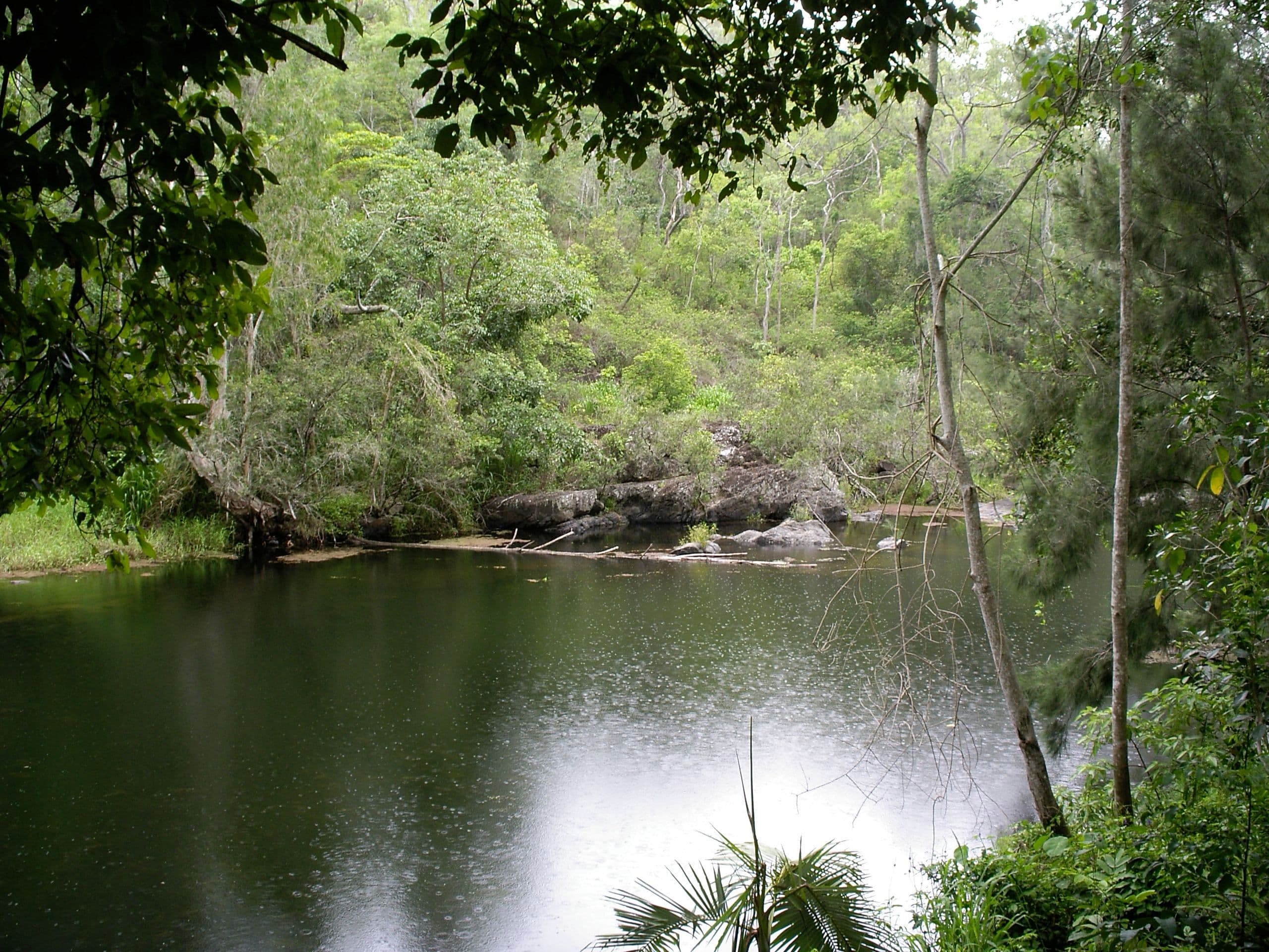 335 Cathu-OConnell River Road, Yalboroo QLD 4741, Yalboroo - Thumbnail 5
