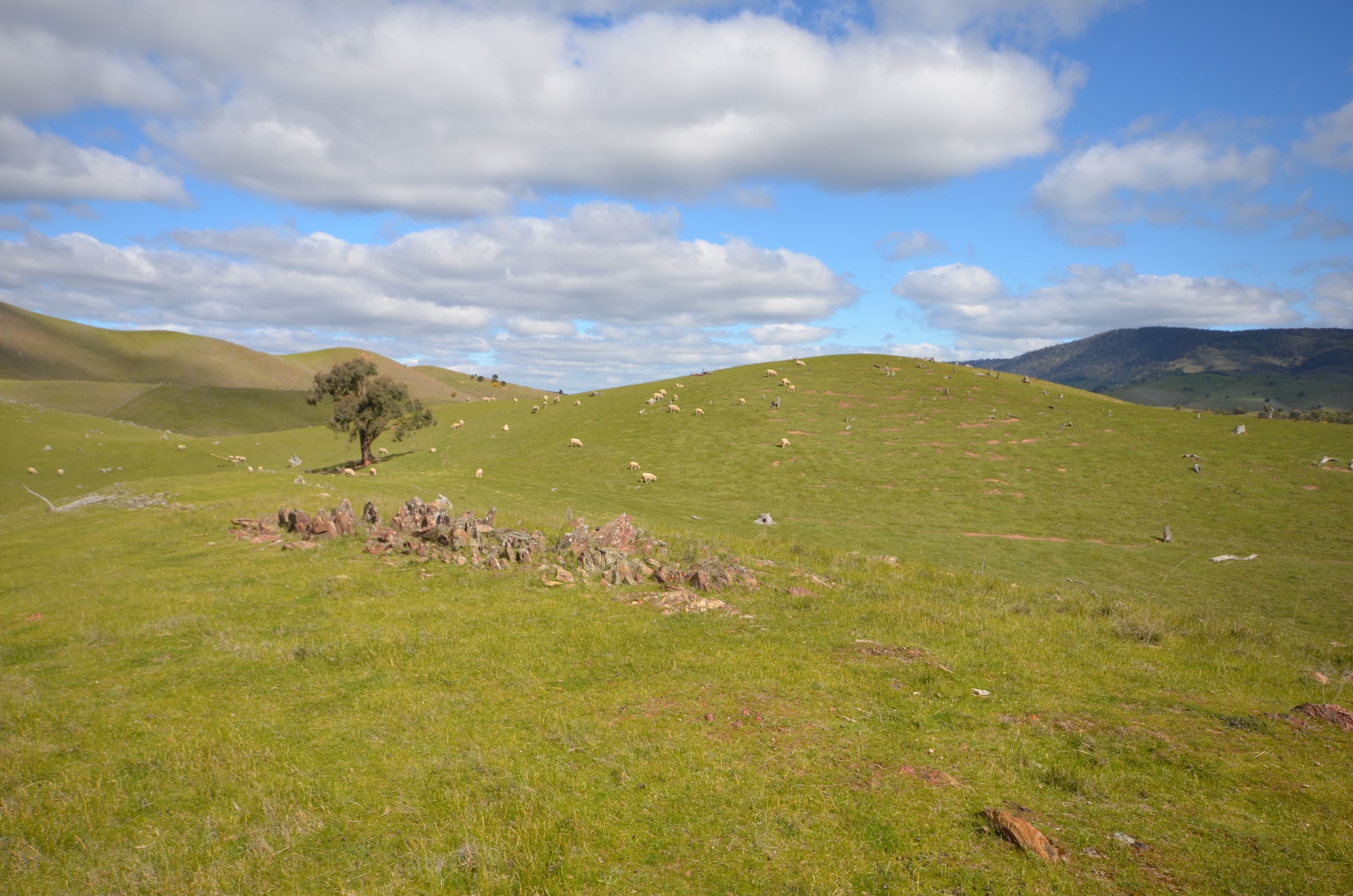 CA 209 Townsing Road, AMPHITHEATRE VIC 3468, Amphitheatre - Image 1