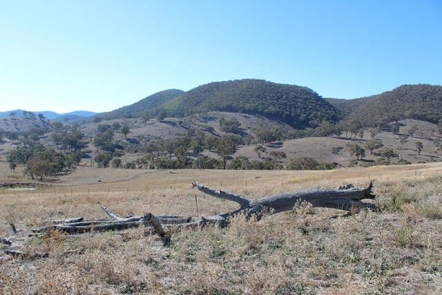 Lot 22 25 Todds Road, Wisemans Creek NSW 2795, Wisemans Creek - Thumbnail 6