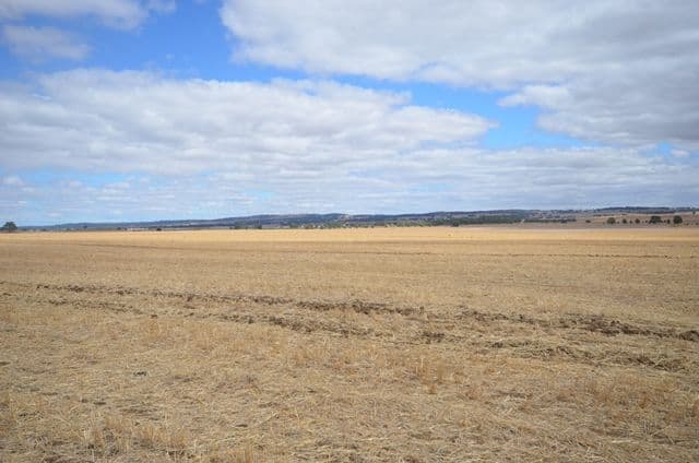 "NJ's" Tarnma Road, MARRABEL SA 5413, Marrabel - Thumbnail 2