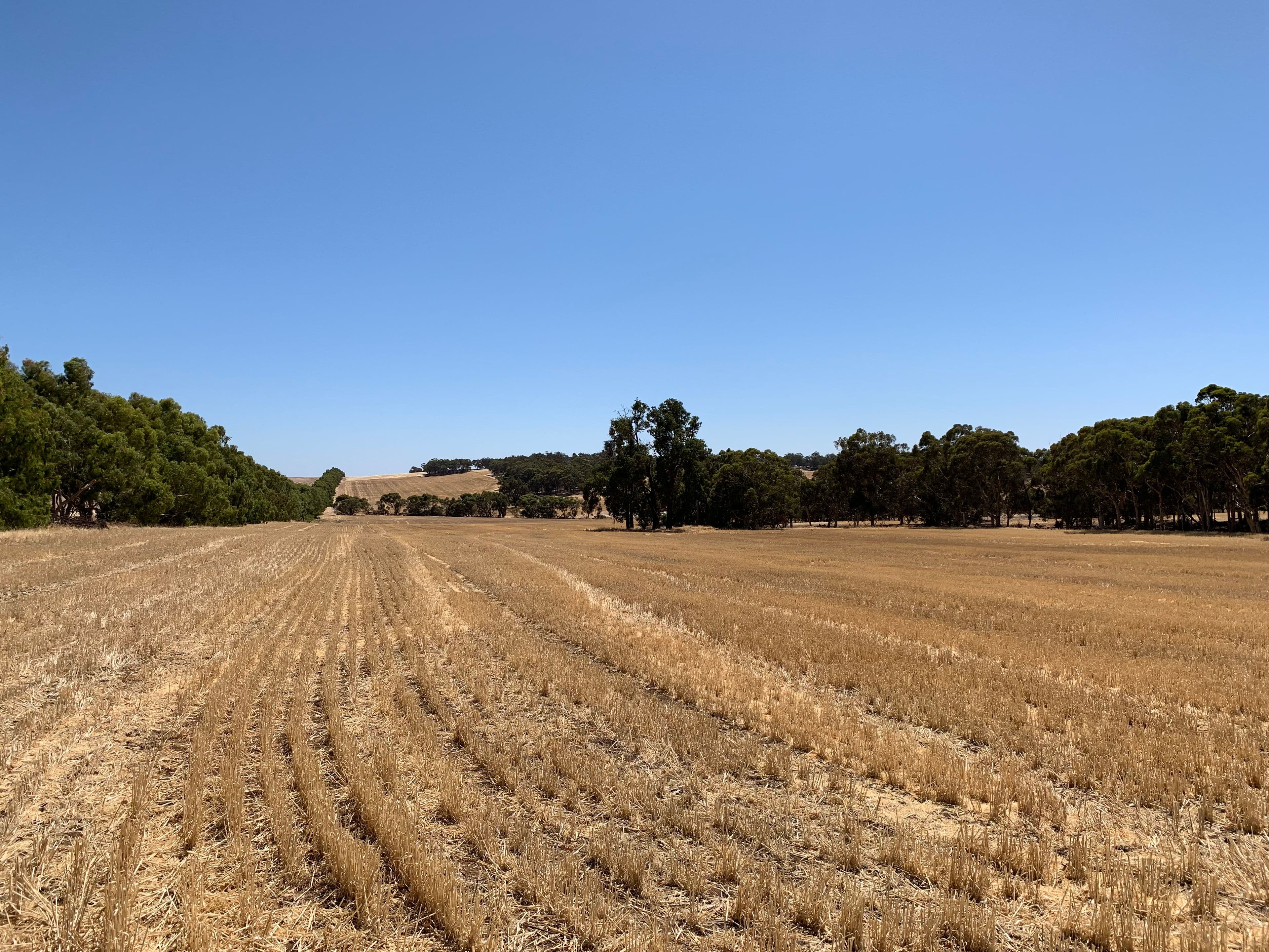 53 Nichols Road, Westdale WA 6304, Westdale - Thumbnail 2