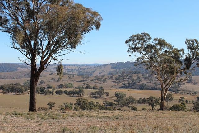 Lot 22 25 Todds Road, Wisemans Creek NSW 2795, Wisemans Creek - Thumbnail 3