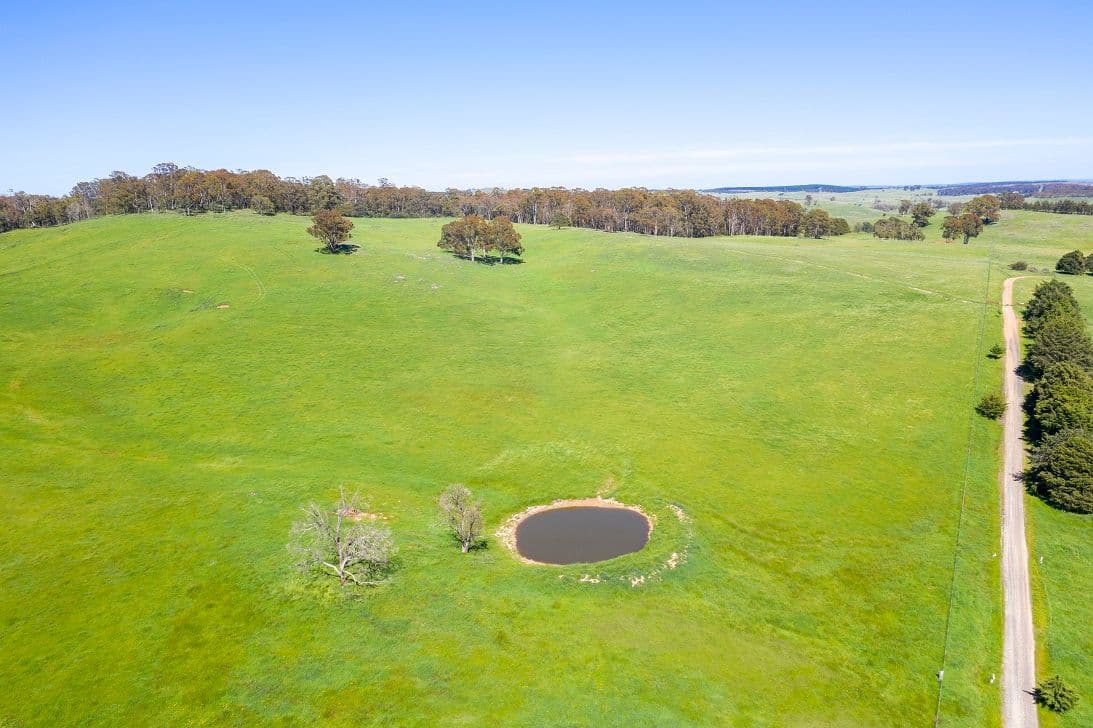 1696 Abercrombie Road, Black Springs NSW 2787, Black Springs - Thumbnail 7