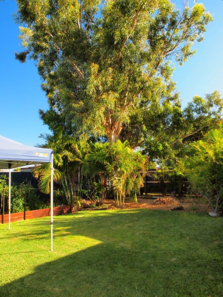 3B Illingworth Street, Carnarvon WA 6701, South Carnarvon - Thumbnail 2