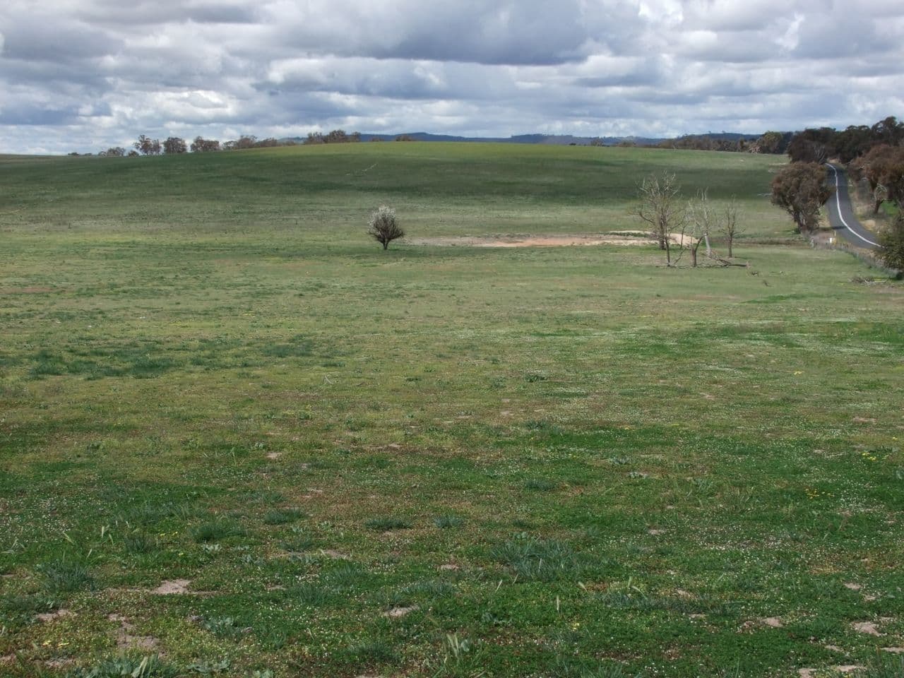 714 O'connell Plains Road, The Lagoon NSW 2795, The Lagoon - Thumbnail 2