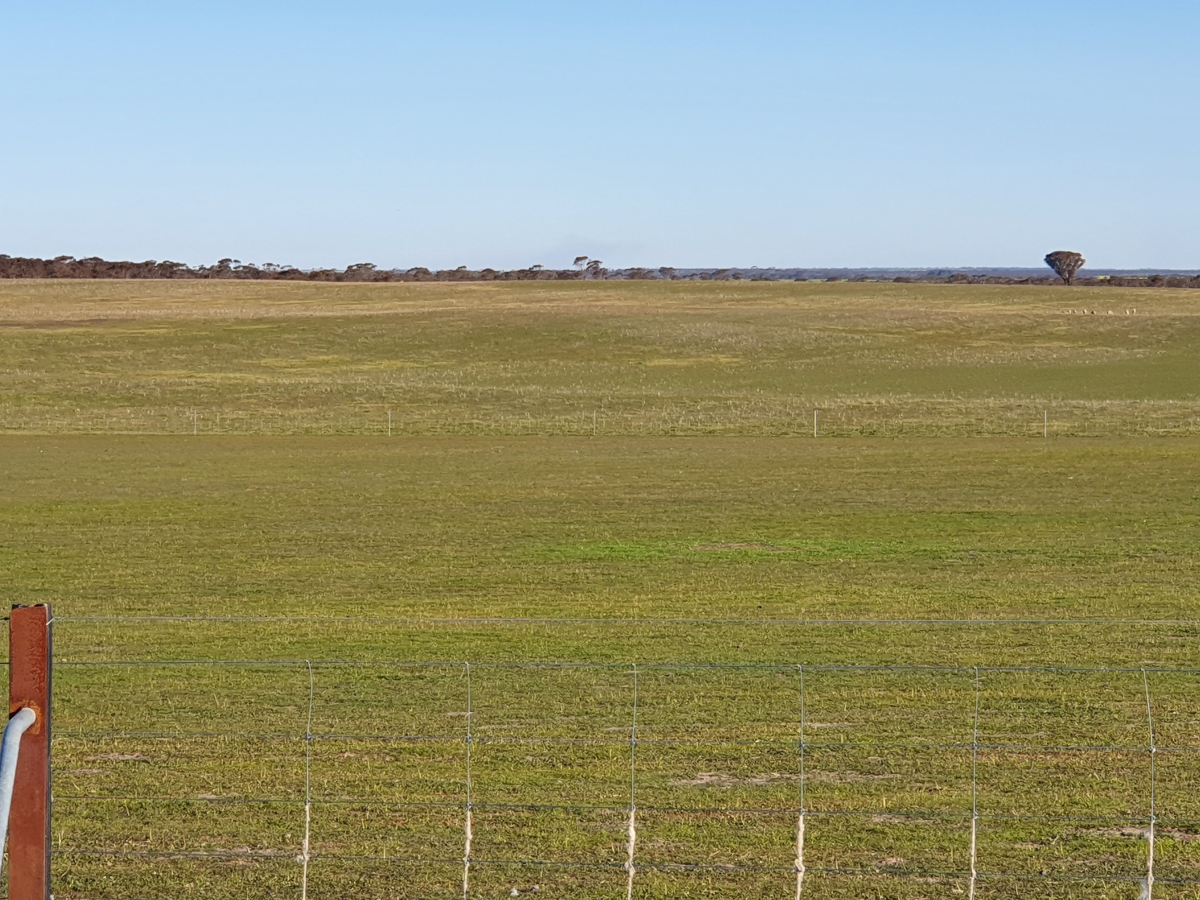2405 North Needilup Road, Pingrup WA 6343, Pingrup - Thumbnail 7