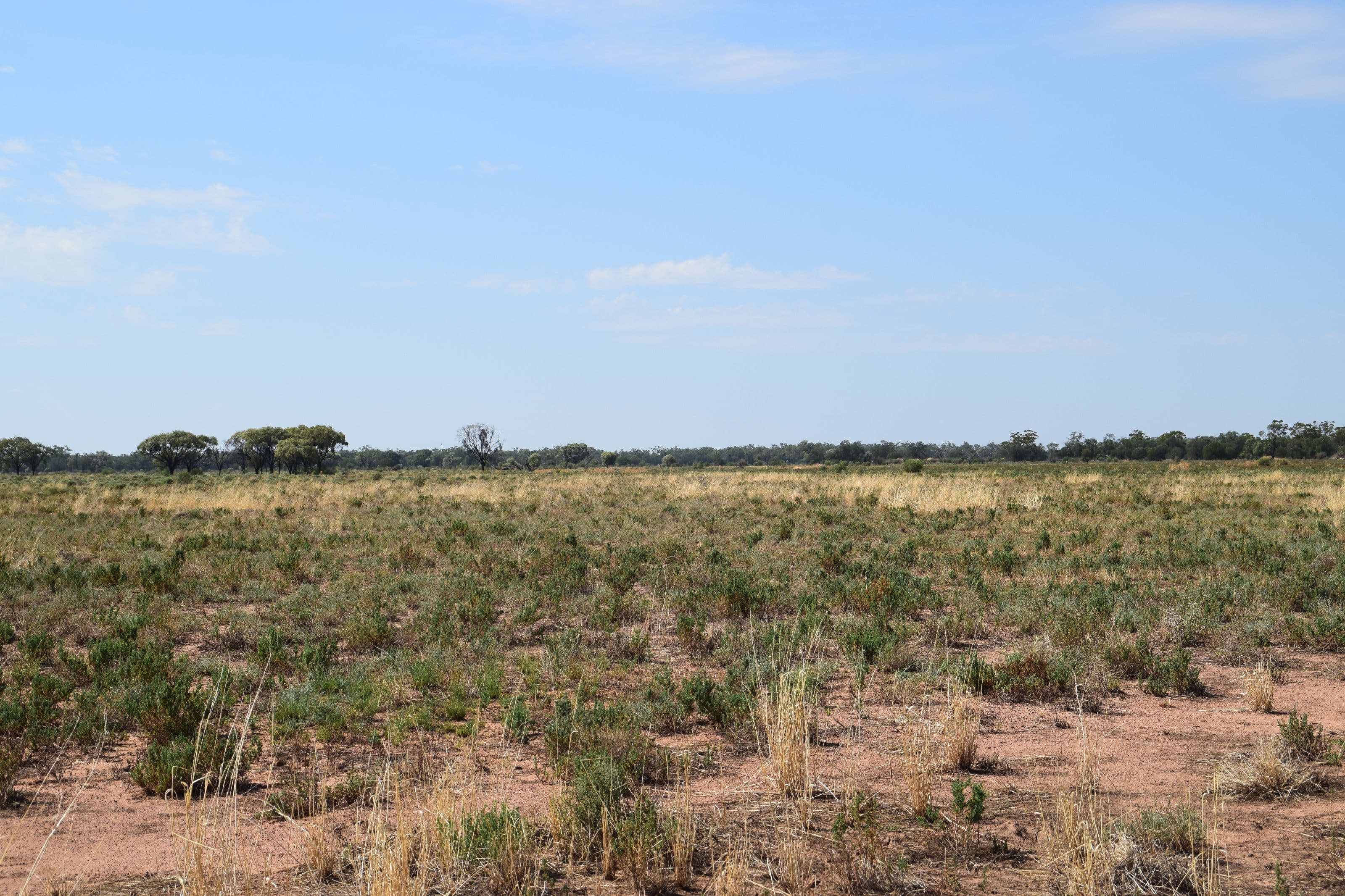 'Munna Munna', Coonamble NSW 2829, Coonamble - Thumbnail 7