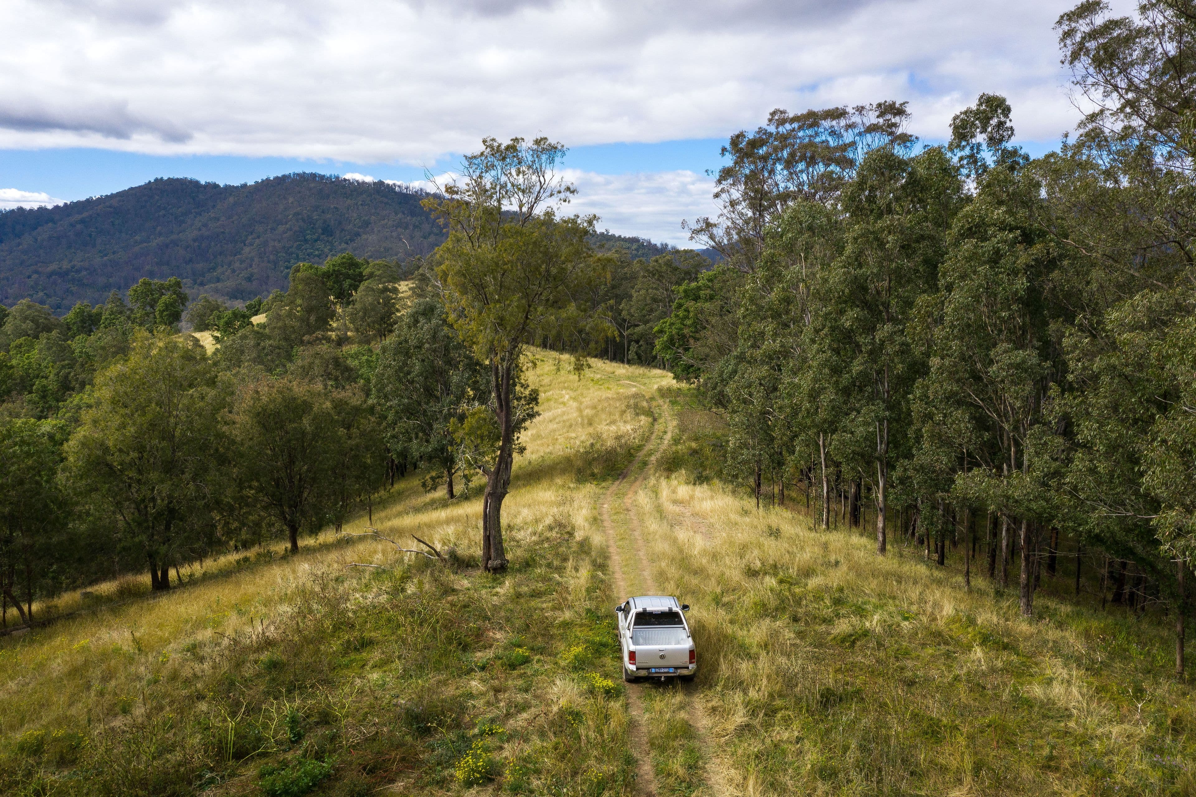 Lot 87 McPhersons Country Estates, Enfield Range Road, Cells River NSW 2424, Cells River - Thumbnail 6