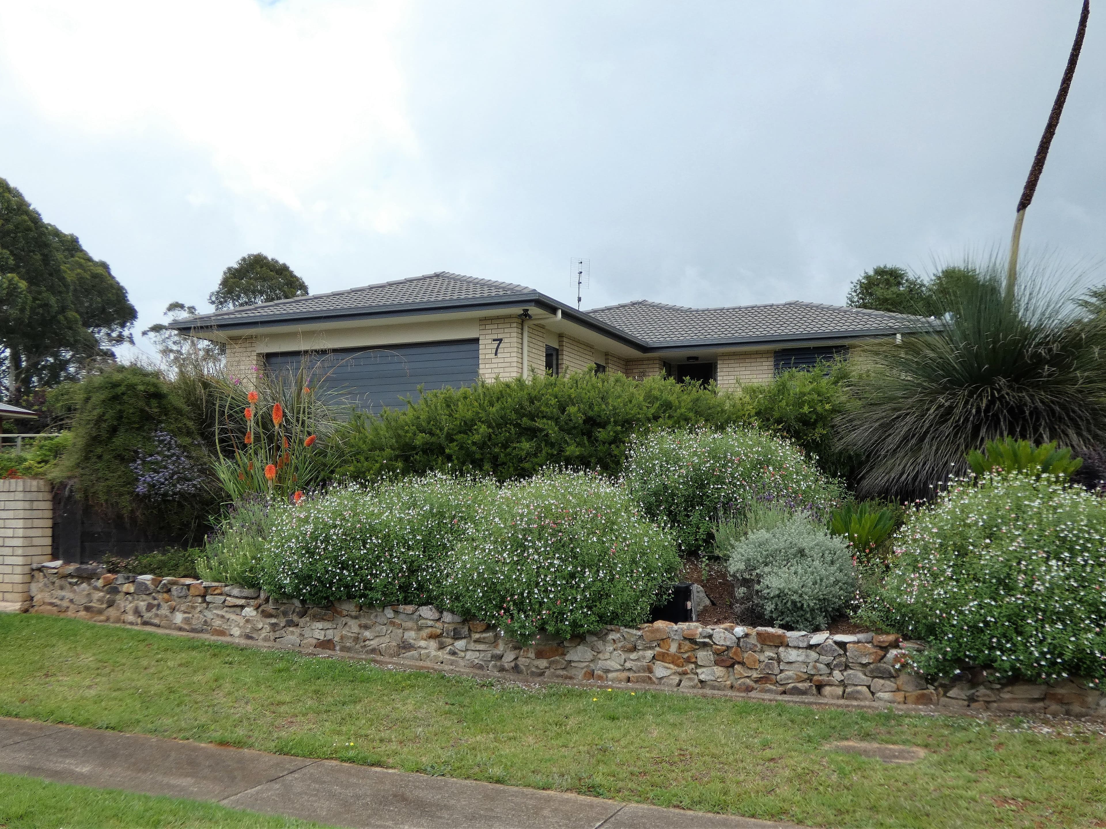 Dorrigo NSW 2453, Dorrigo - Image 1