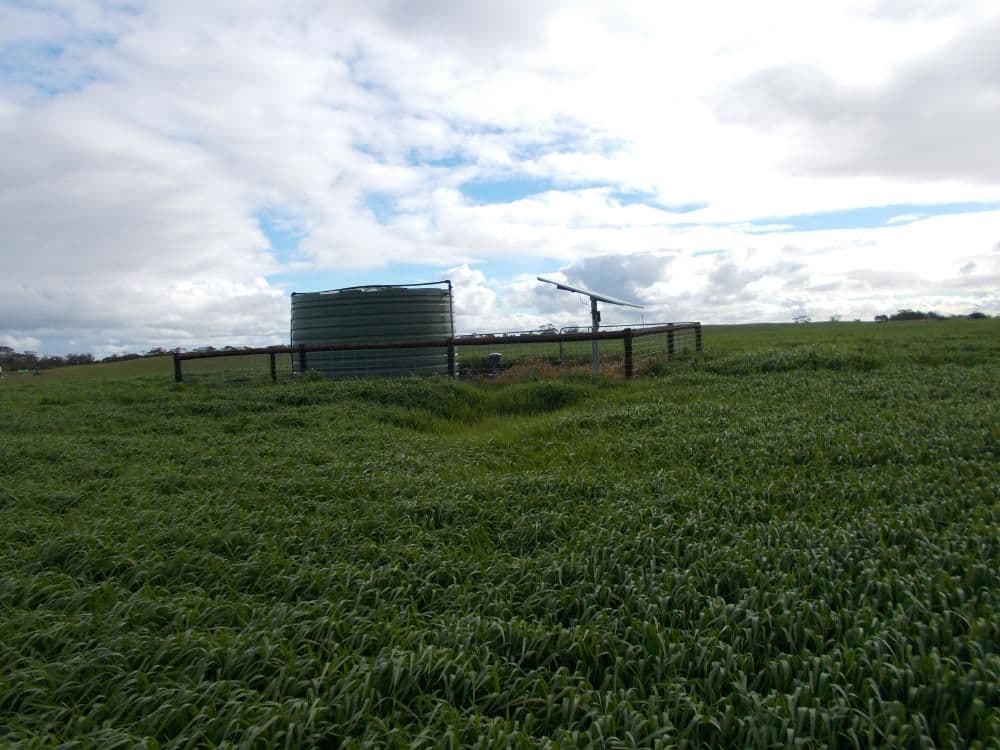 433 Golf Course Road, Bordertown SA 5268, Bordertown - Thumbnail 4