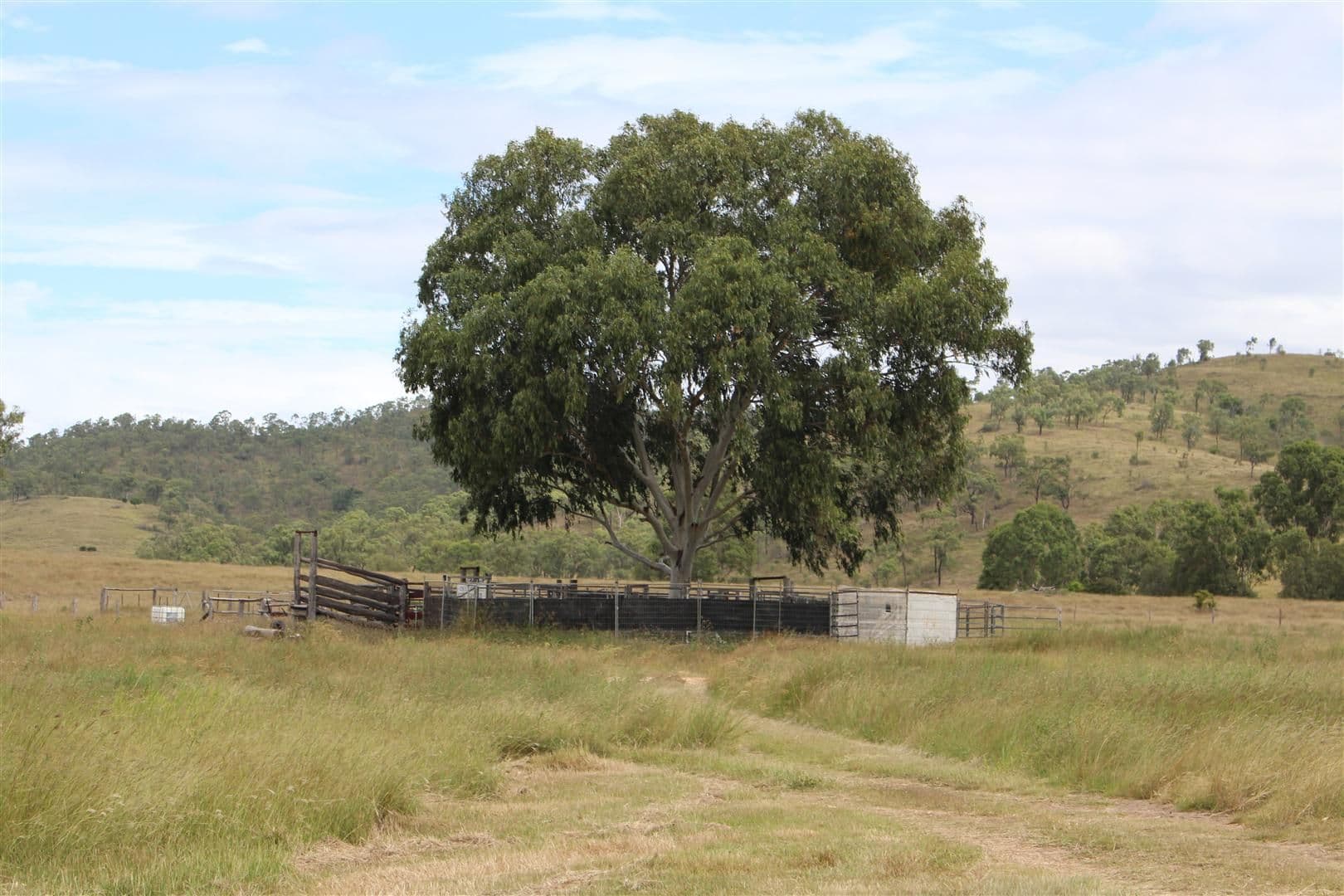 200 Morse Road, Raglan QLD 4697, Raglan - Thumbnail 8