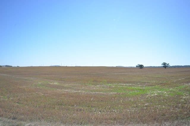 "Waterloo" Main Road 45, Waterloo SA 5413, Waterloo - Thumbnail 3