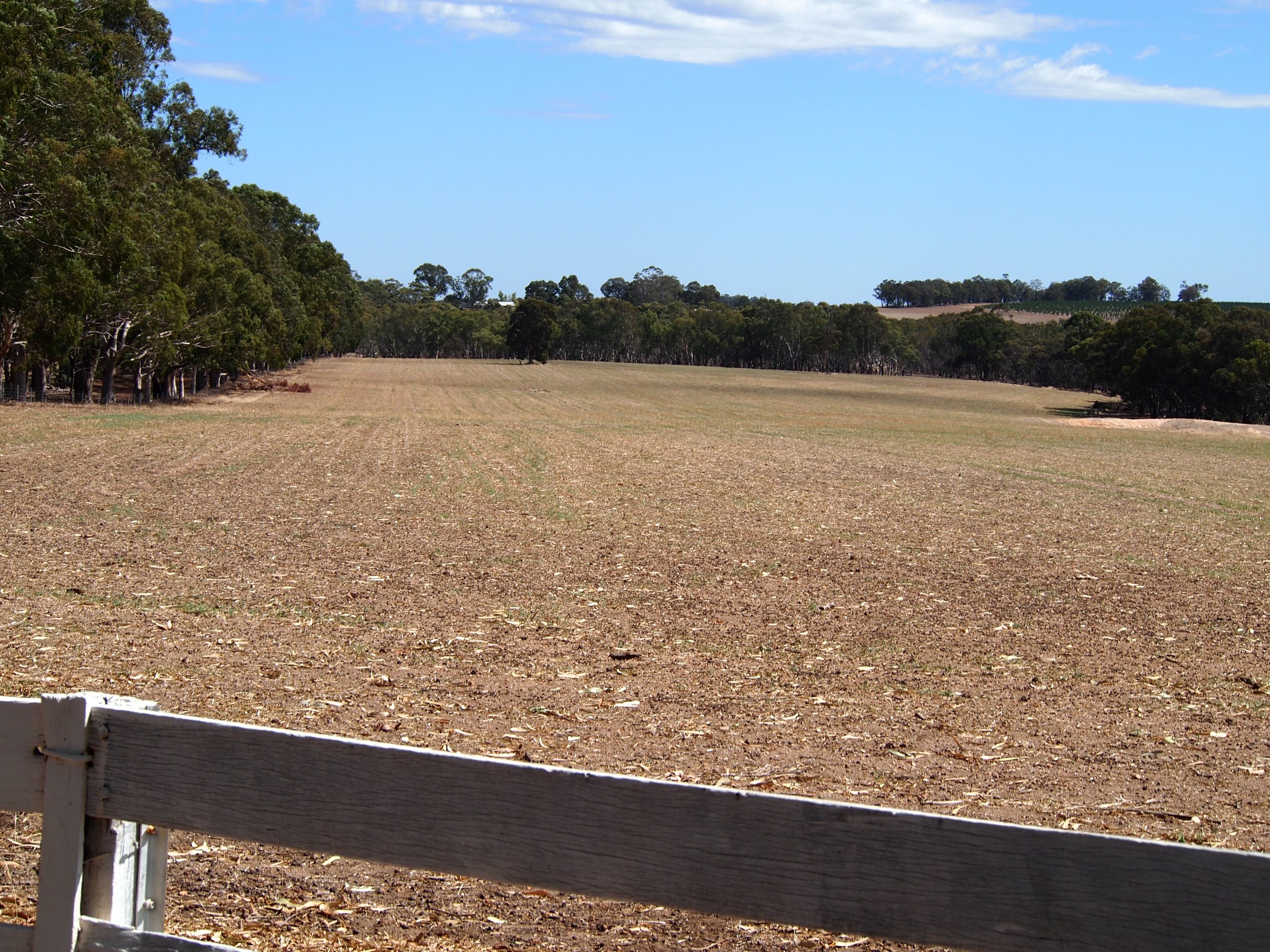 Maringee Farm, Trigwell Bridge Road, Darkan WA 6392, Darkan - Thumbnail 2