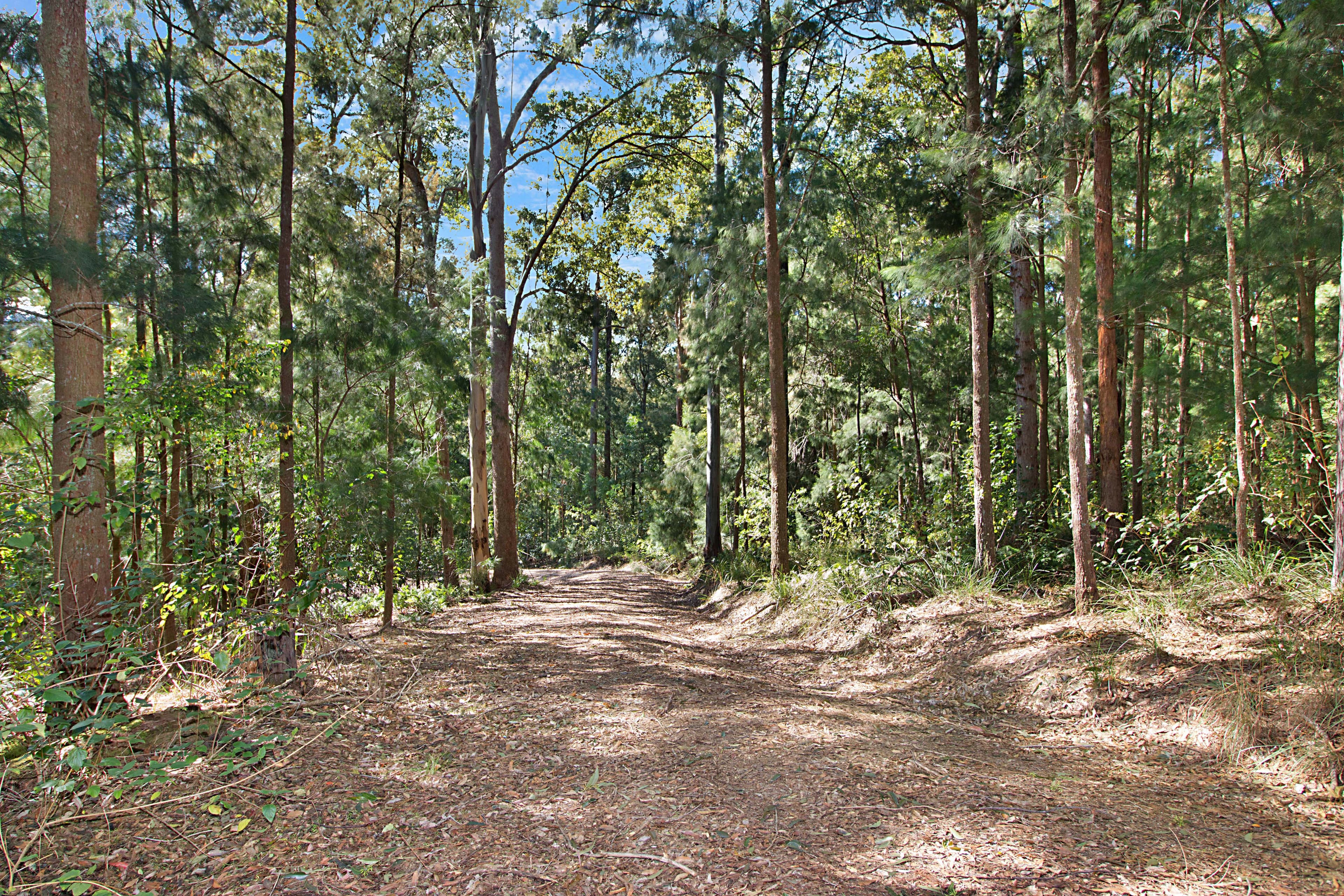 Lot 18, 215 Everinghams Road, Pumpenbil NSW 2484, Pumpenbil - Thumbnail 5