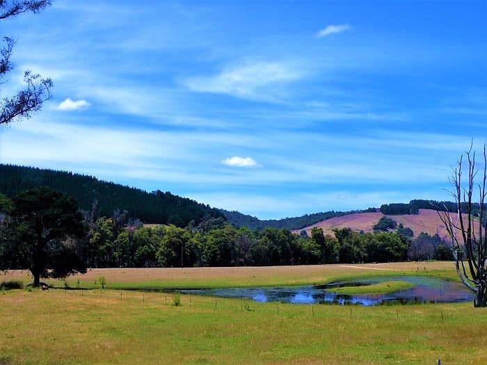 Lot 84 Balingup Nannup Road, Nannup WA 6275, Nannup - Thumbnail 3