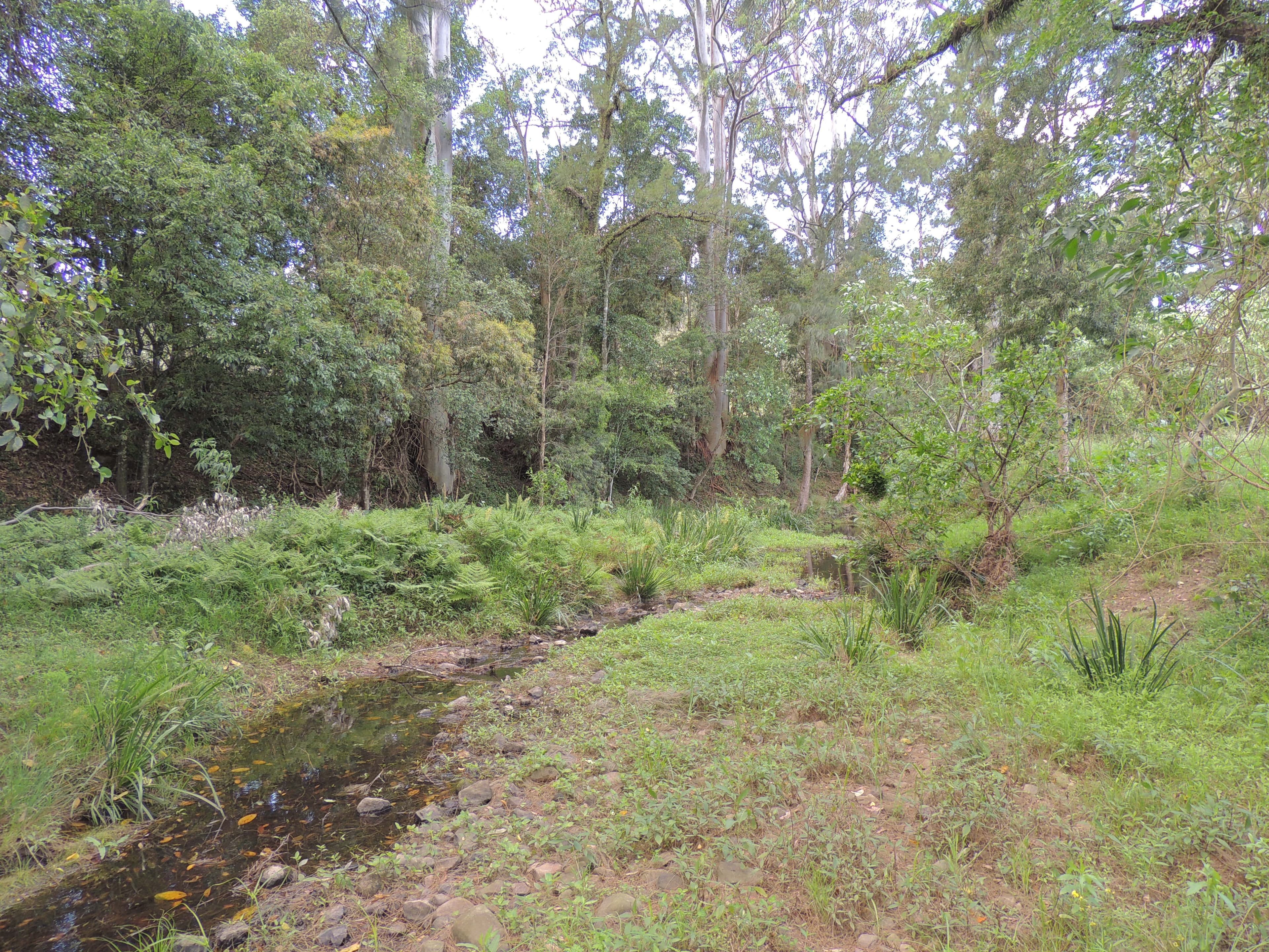 1079 Upper Myall Road, Bulahdelah NSW 2423, Bulahdelah - Thumbnail 7