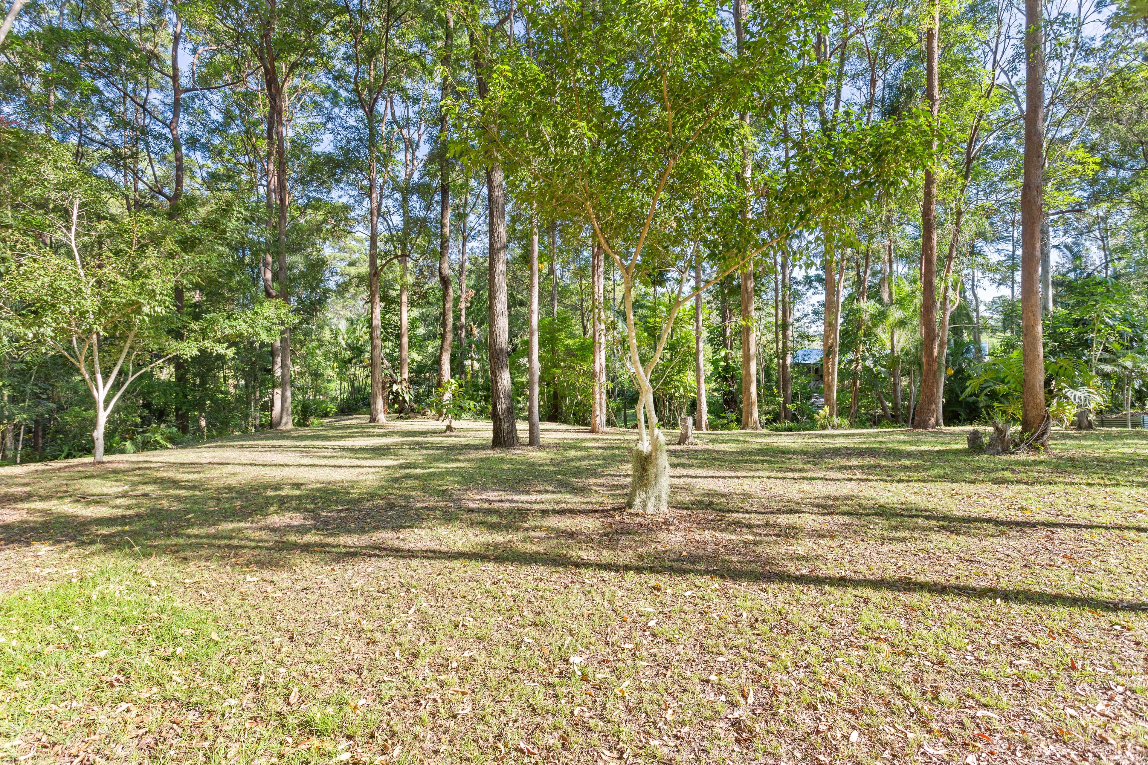17 Gattera Road, Landsborough QLD 4550, Landsborough - Thumbnail 3