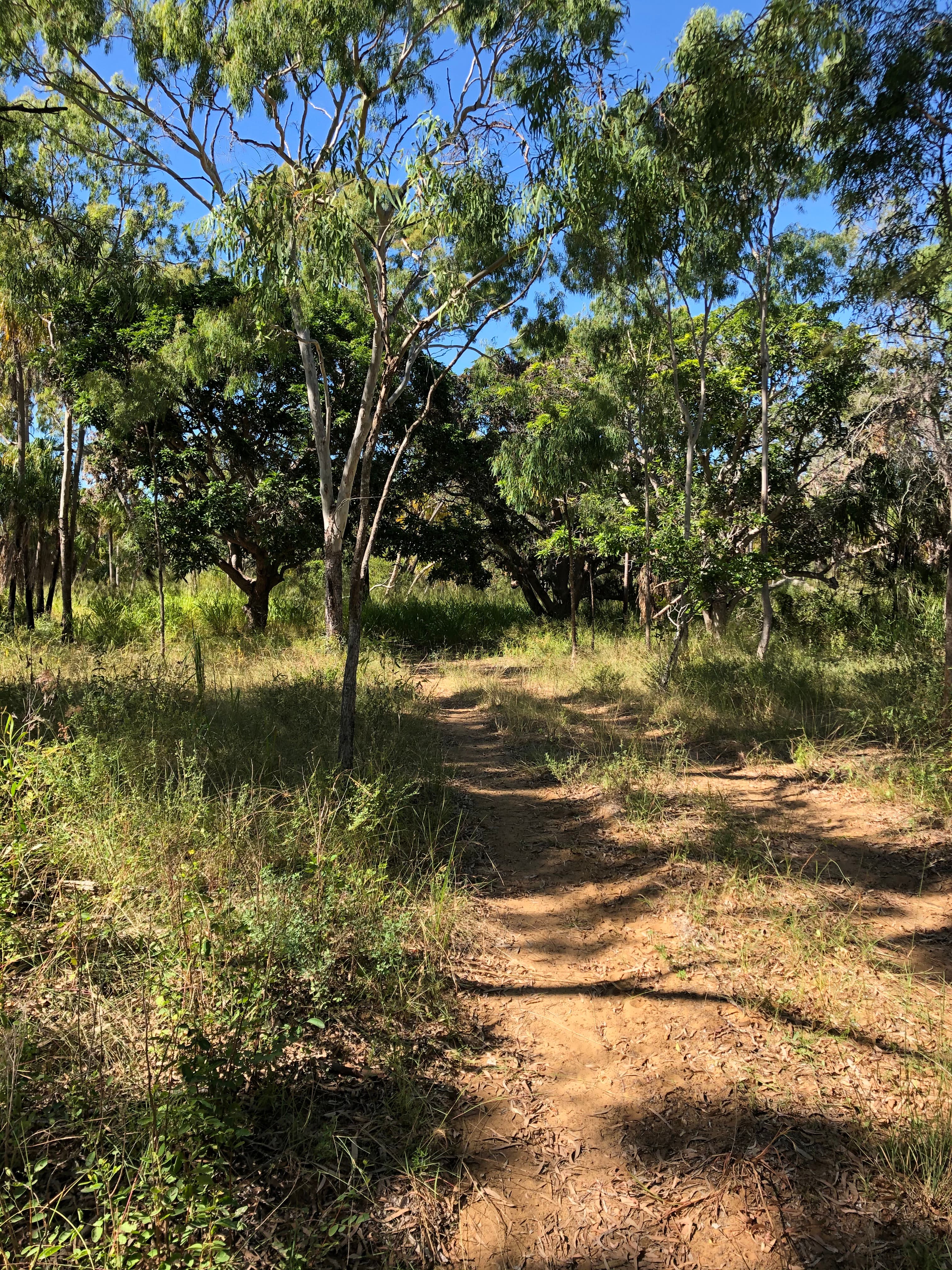 Lot 2 Keppel Sands Road, Keppel Sands QLD 4702, Keppel Sands - Thumbnail 6