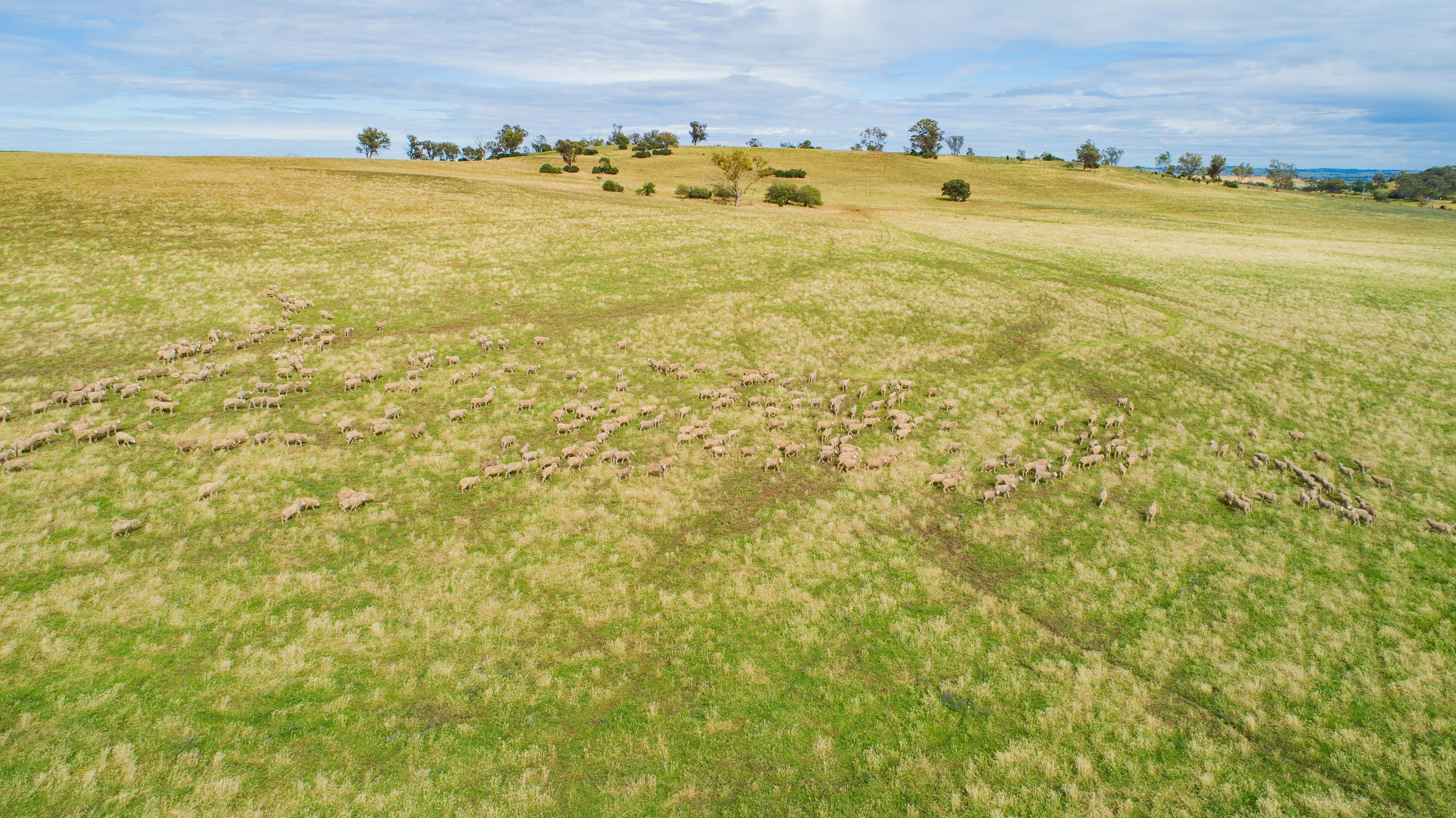 5919 Gundagai Road, Junee NSW 2663, Junee - Thumbnail 7