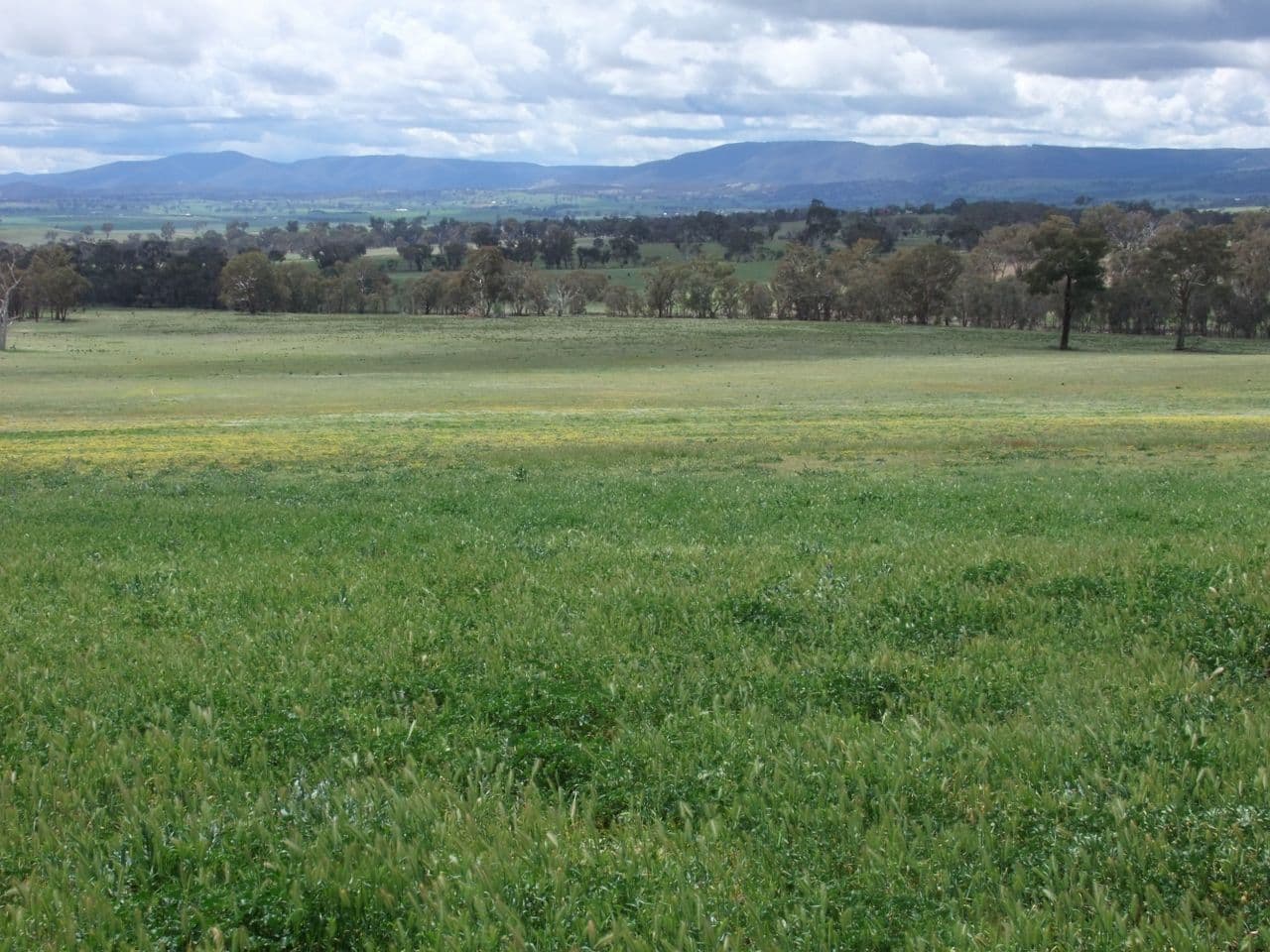714 O'connell Plains Road, The Lagoon NSW 2795, The Lagoon - Image 1