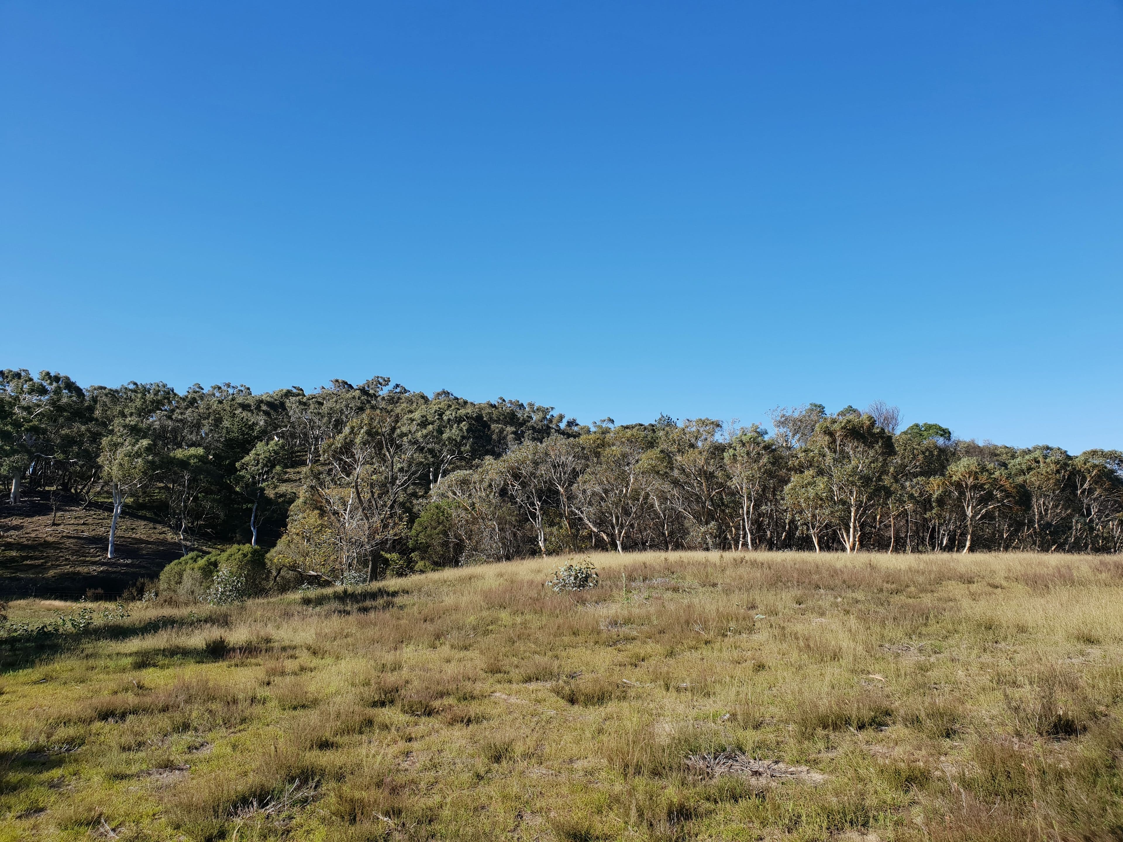 Lot 18 Nerriga Road, Braidwood NSW 2622, Braidwood - Thumbnail 8