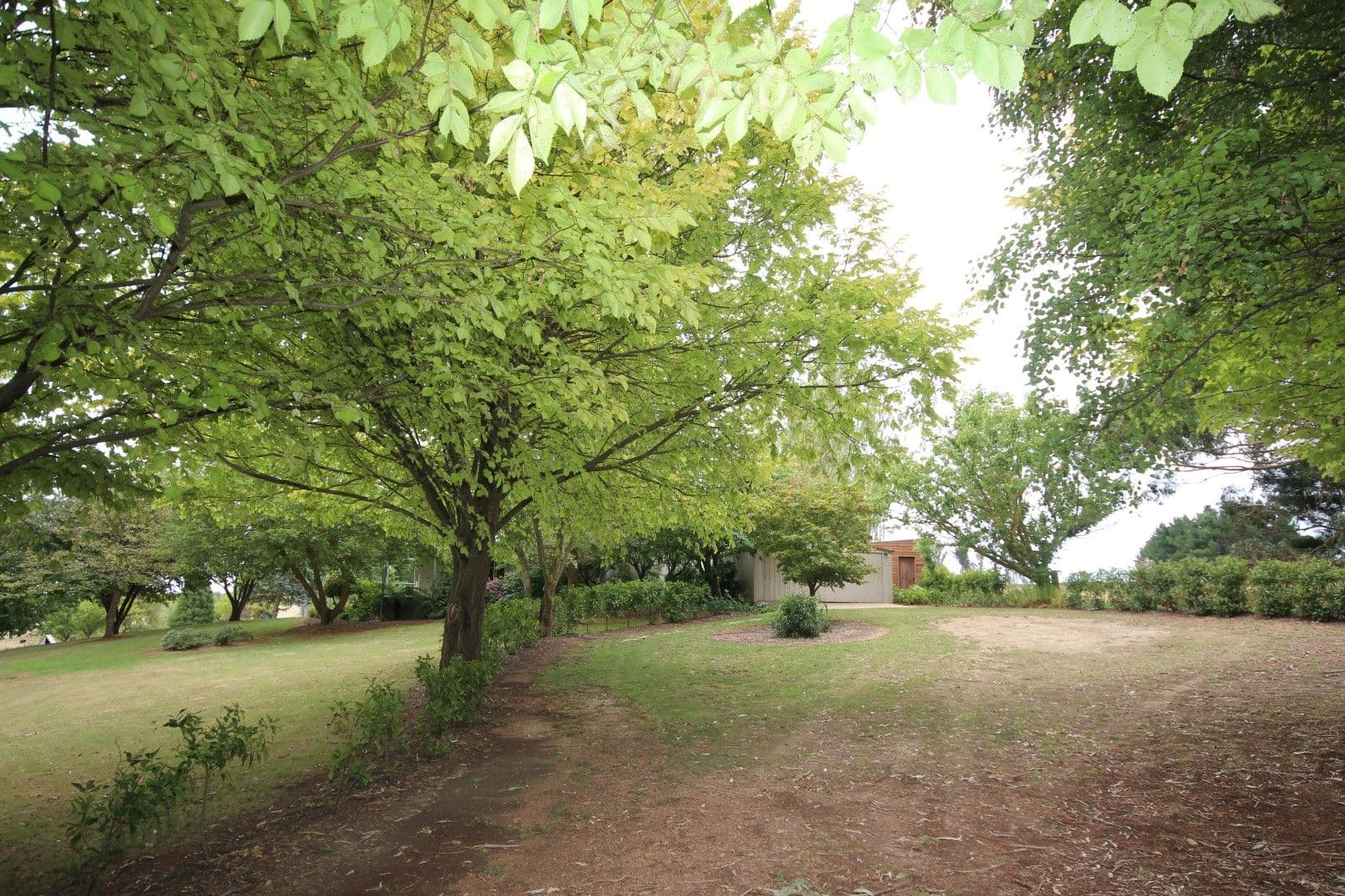 756 Mozart Road, Oberon NSW 2787, Oberon - Thumbnail 5