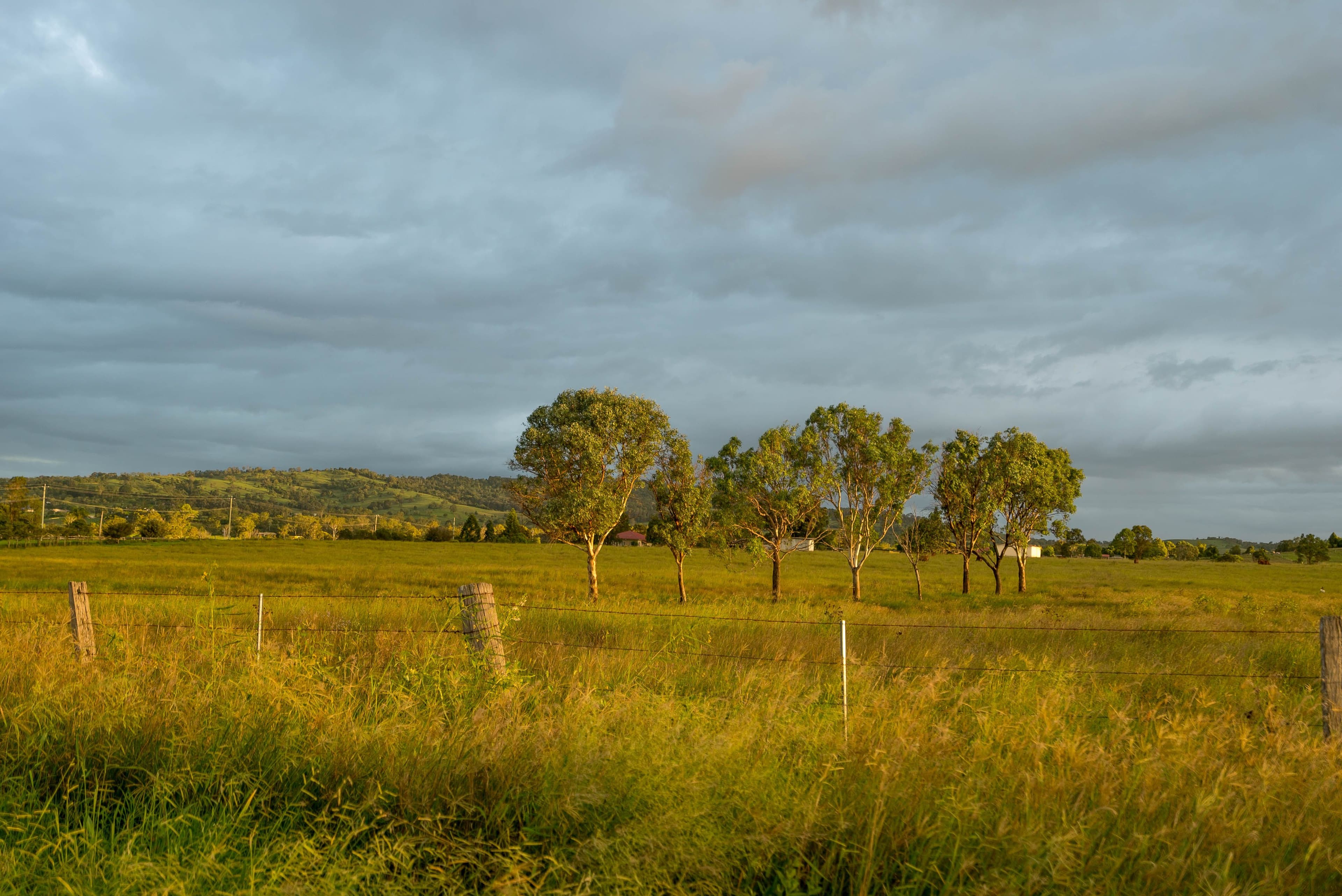  19 Schubels Road, Marburg QLD 4346, Marburg - Thumbnail 8