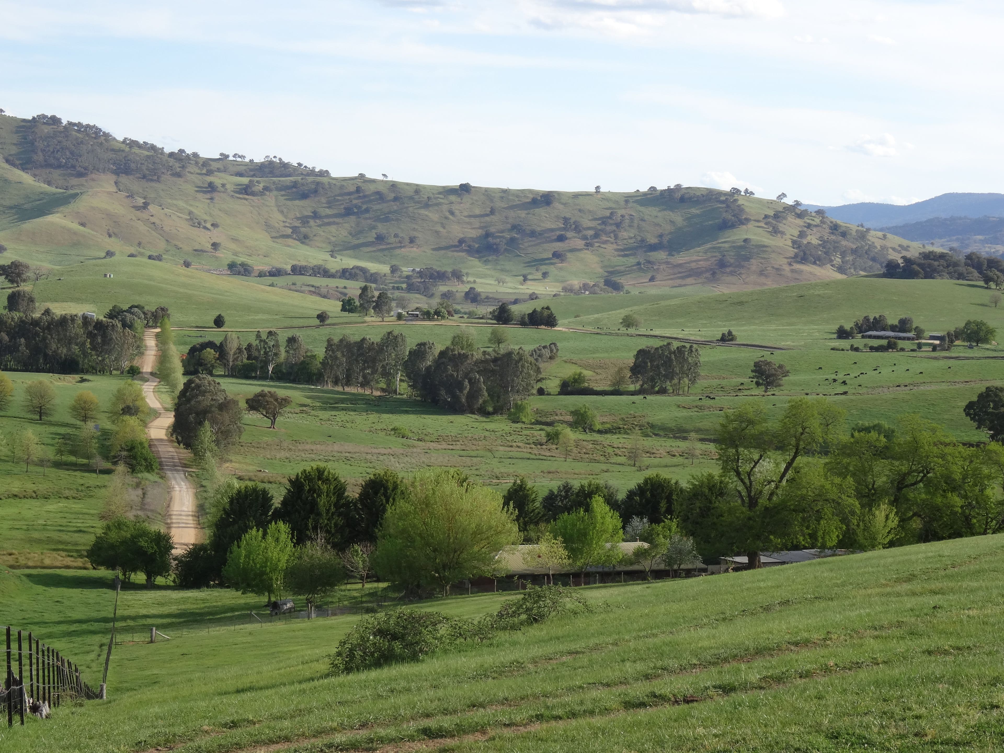 146 Mulholland Road, Georges Creek VIC 3700, Georges Creek - Image 1