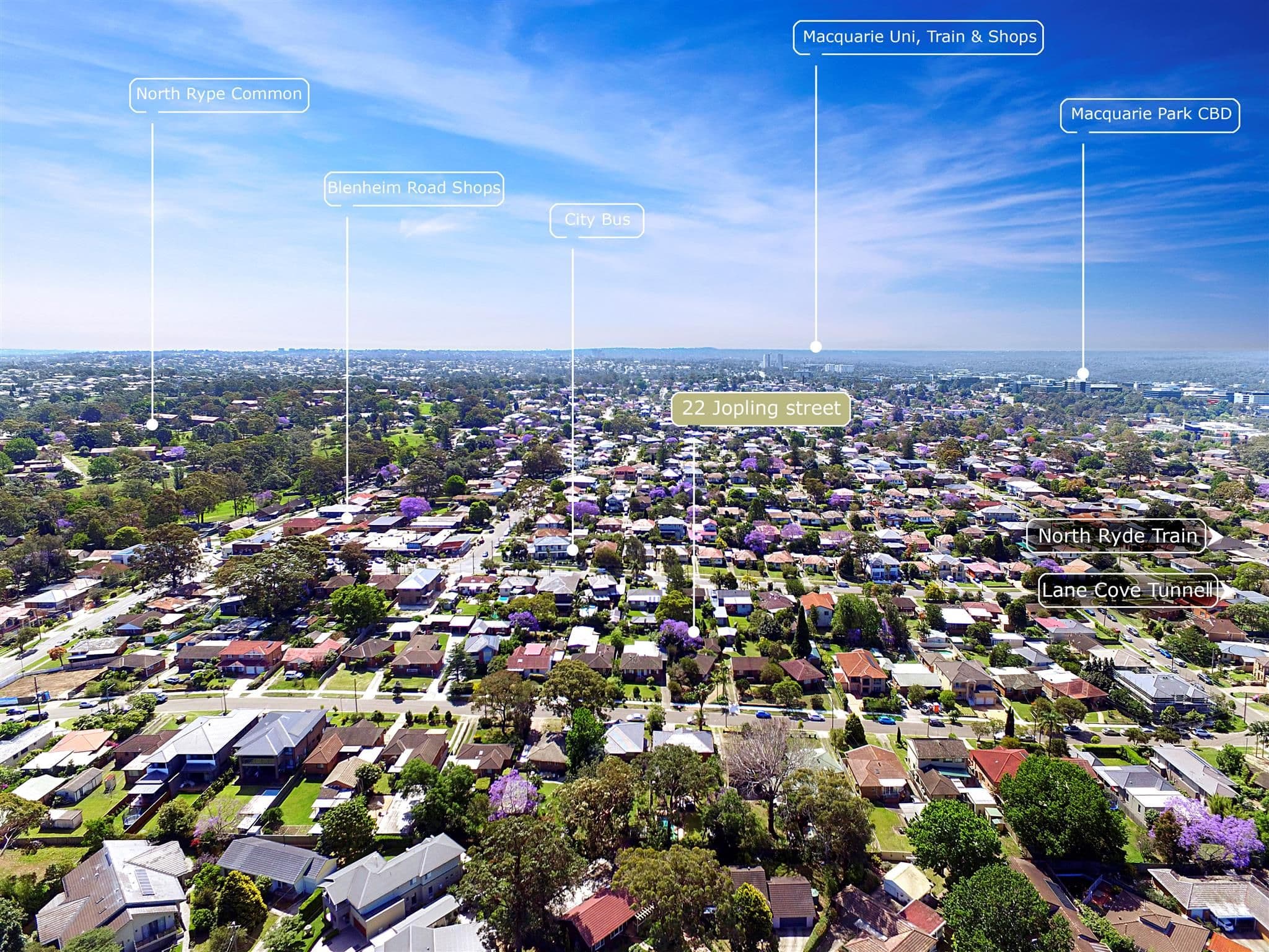 22 Jopling Street, North Ryde - Thumbnail 6