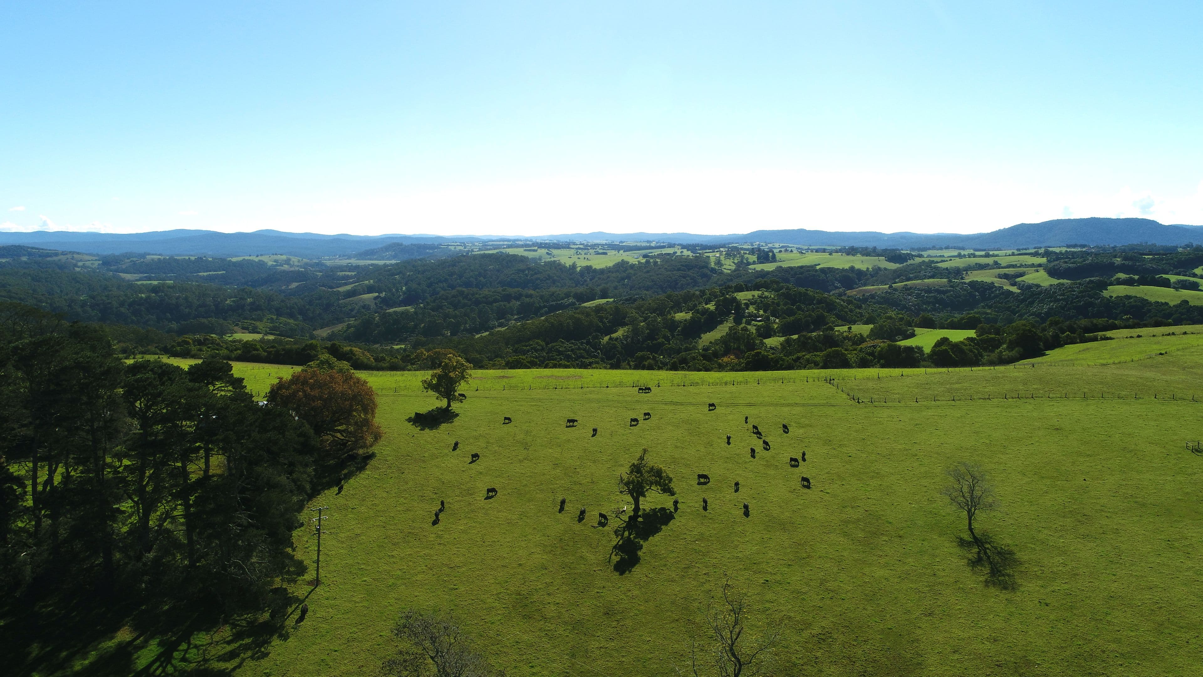 Dorrigo NSW 2453, Dorrigo - Thumbnail 5