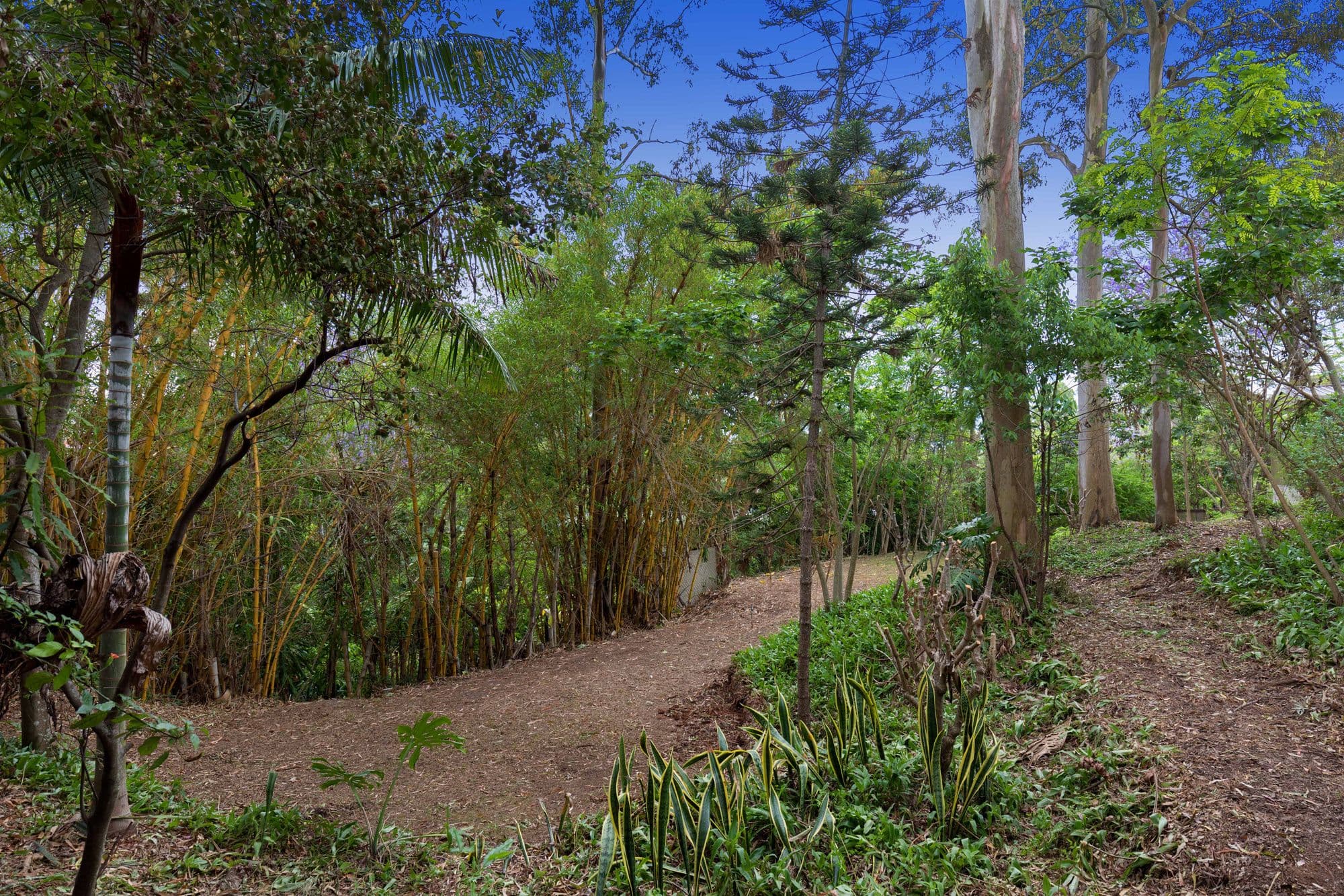 194 Jesmond Road, Indooroopilly QLD 4068, Indooroopilly - Thumbnail 4