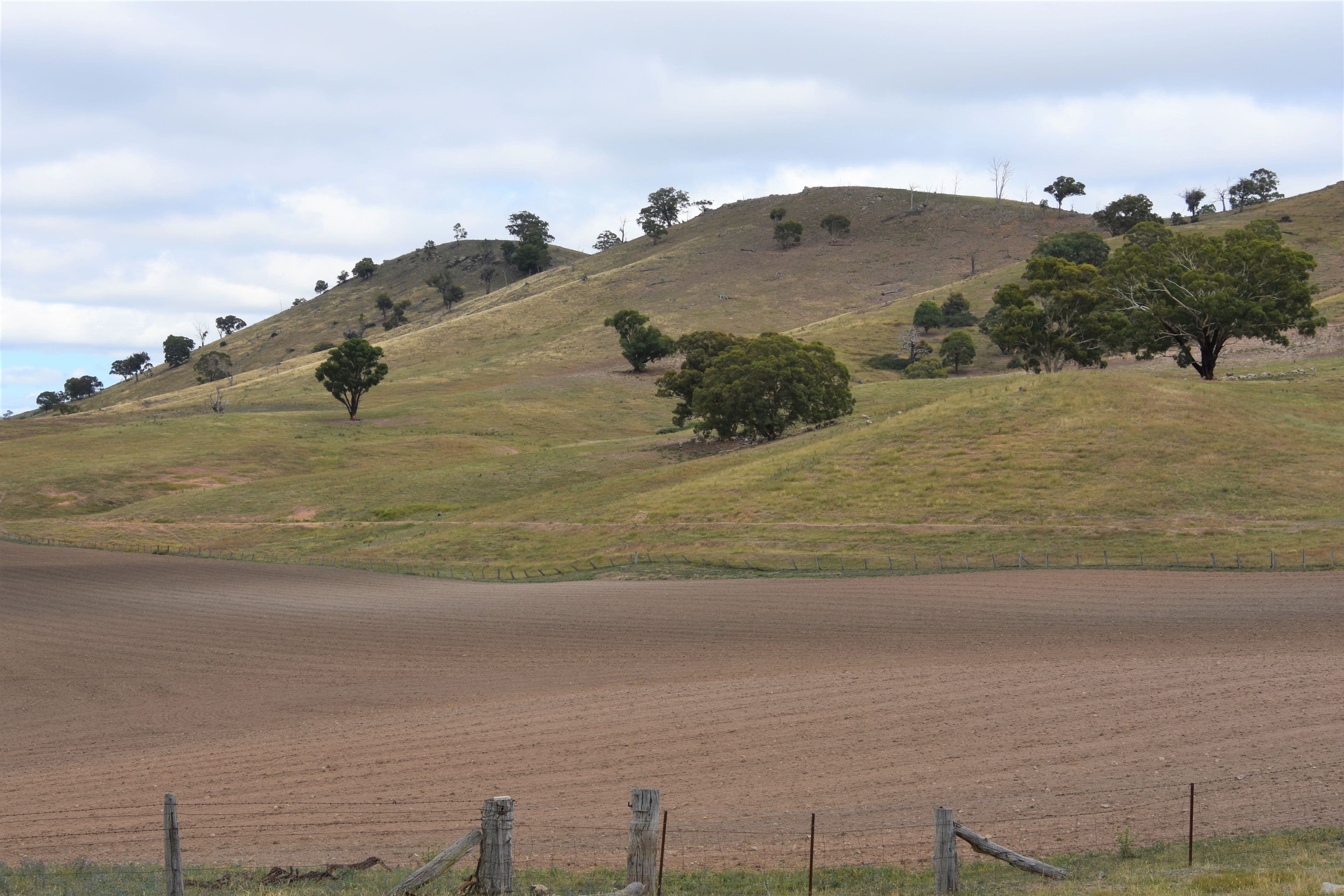 2727 Limekilns Road, Limekilns NSW 2795, Limekilns - Thumbnail 8